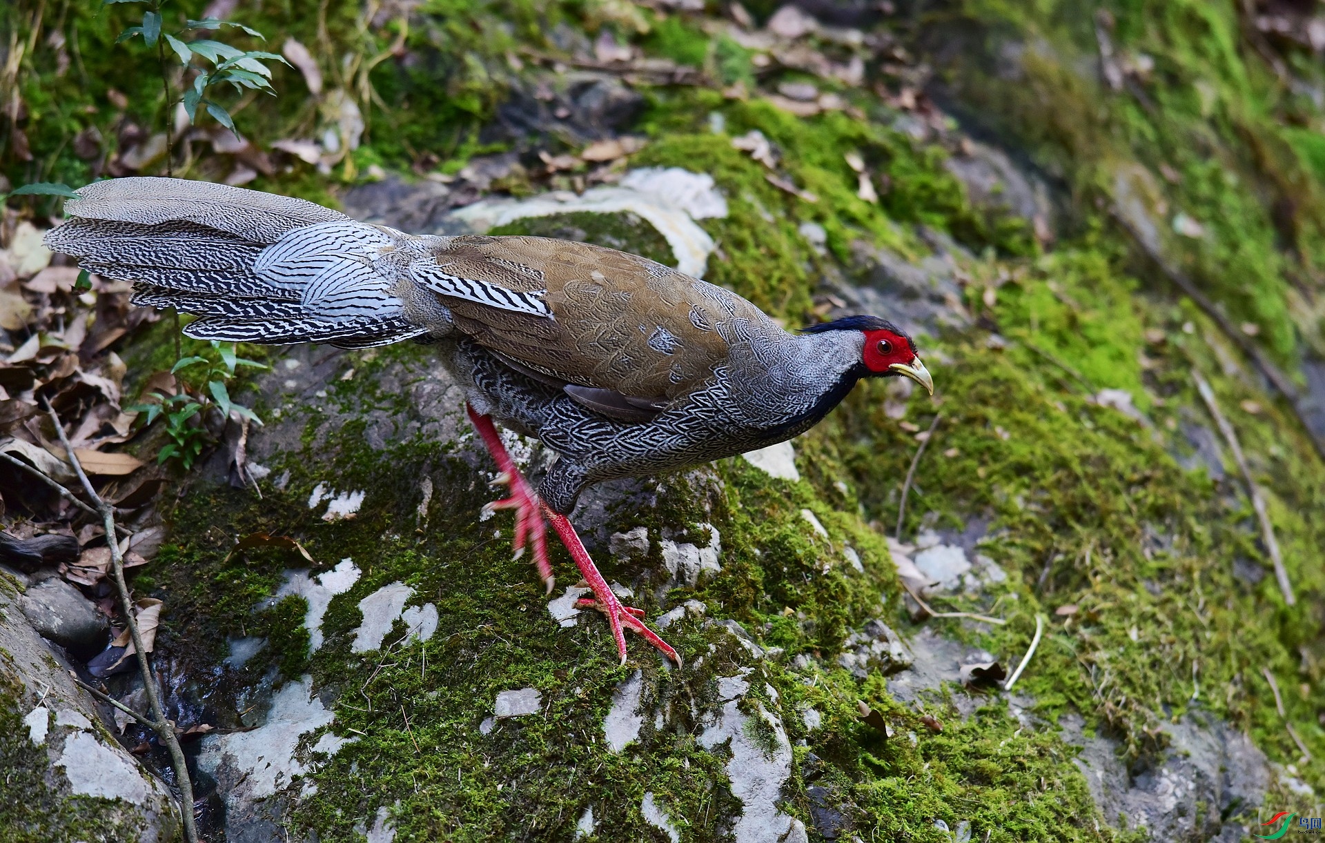 D8I_3689.jpg