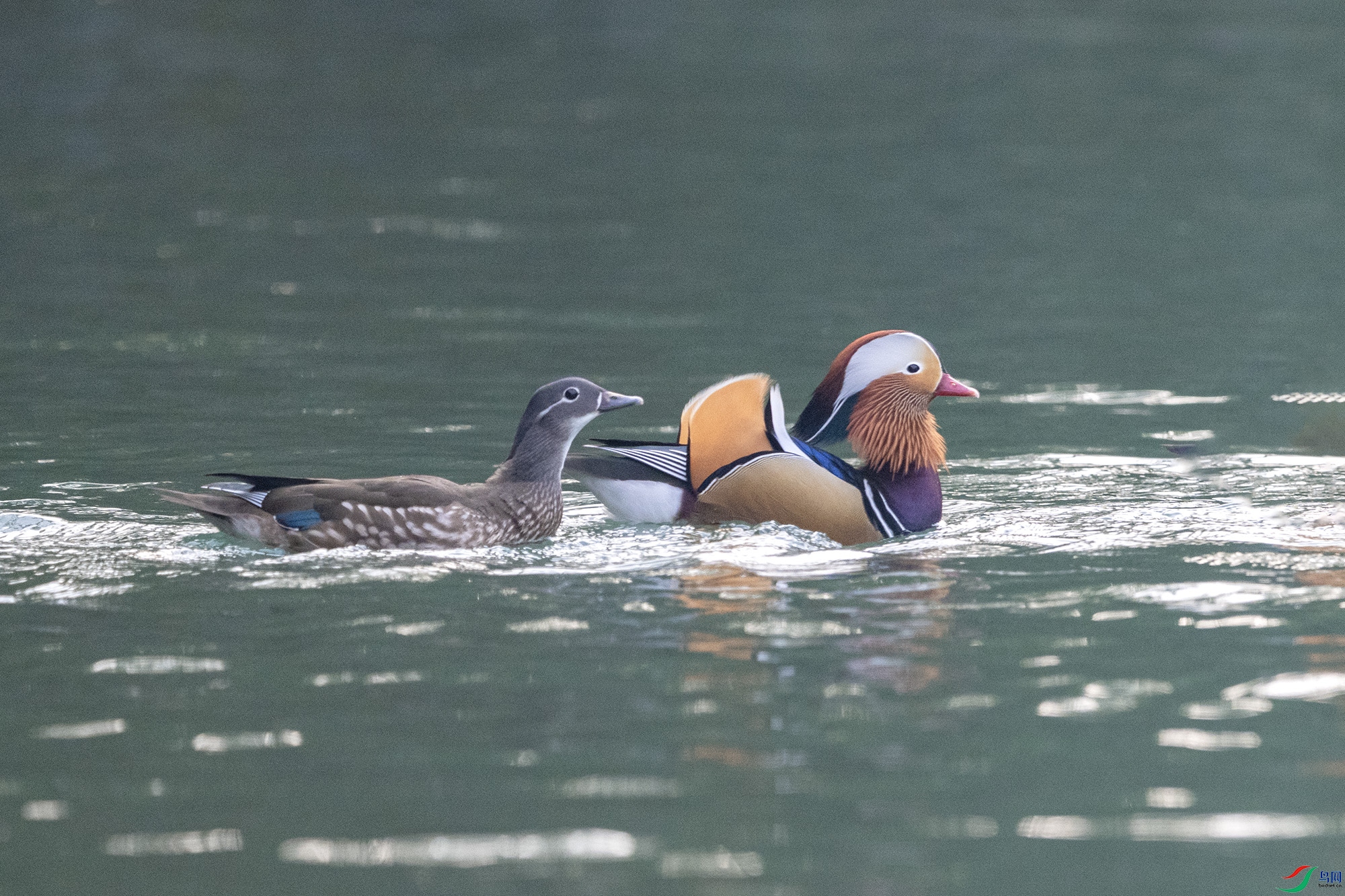 DSC_3829.jpg
