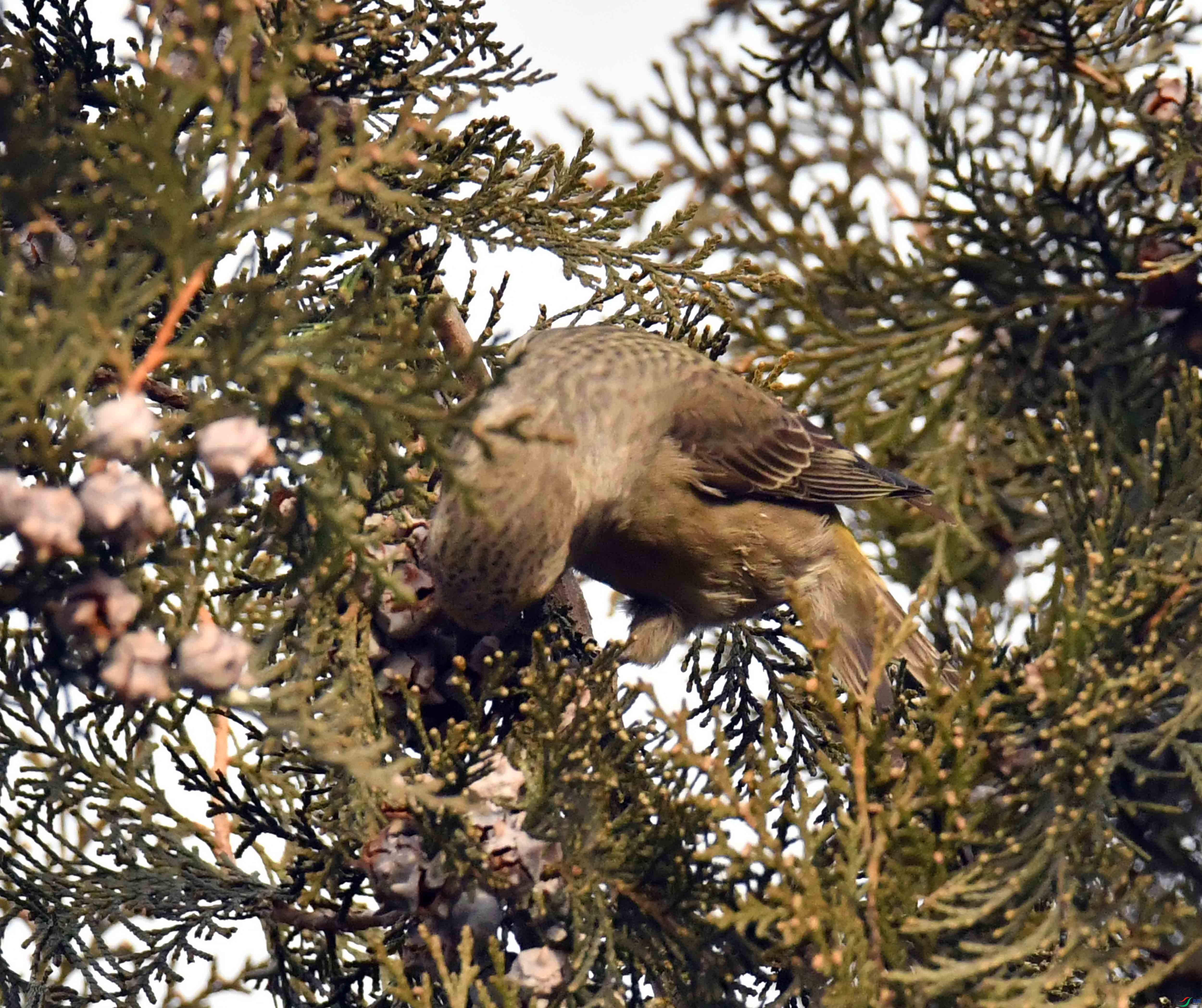 DSC_5341.JPG