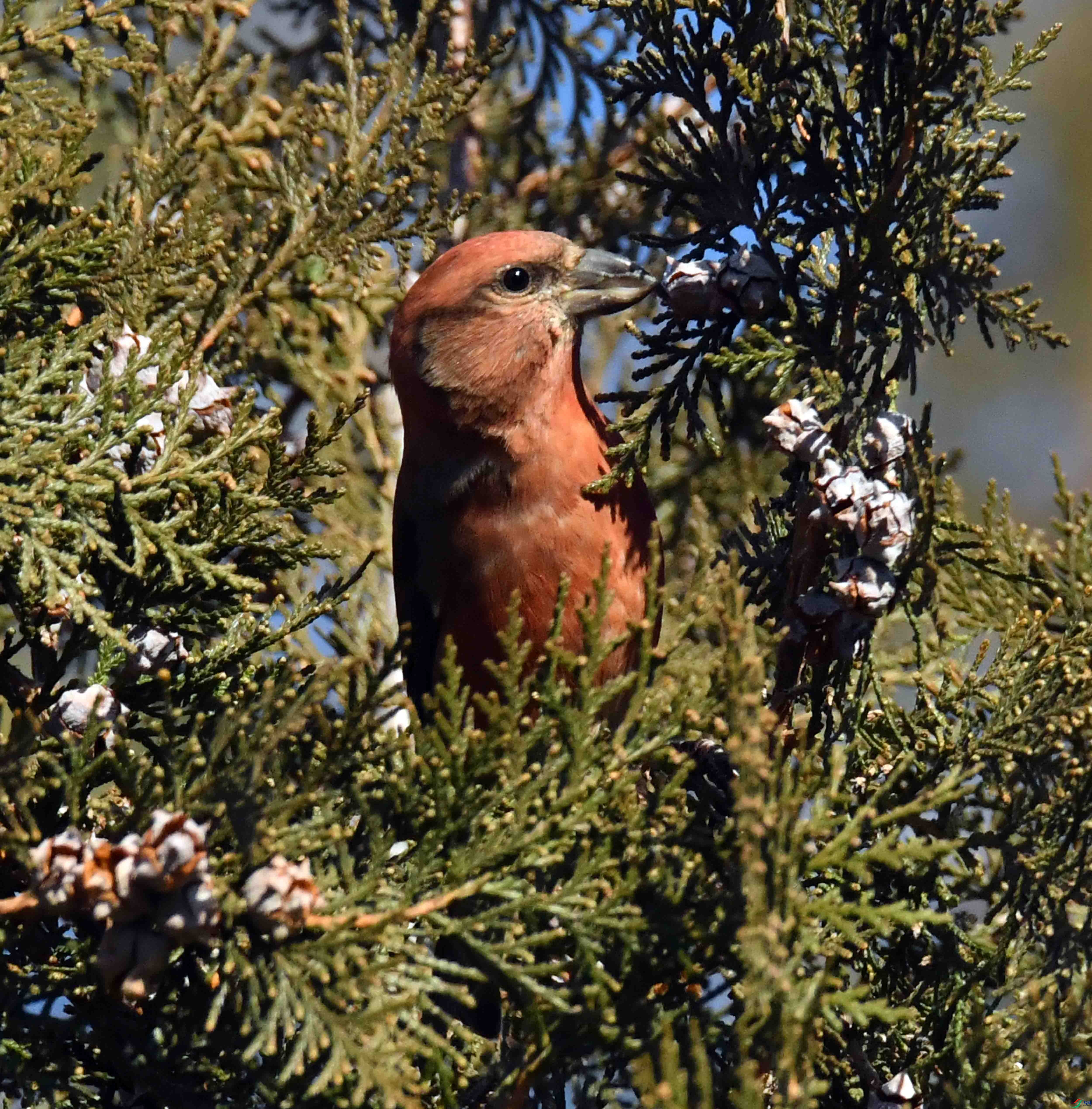 DSC_5429.JPG