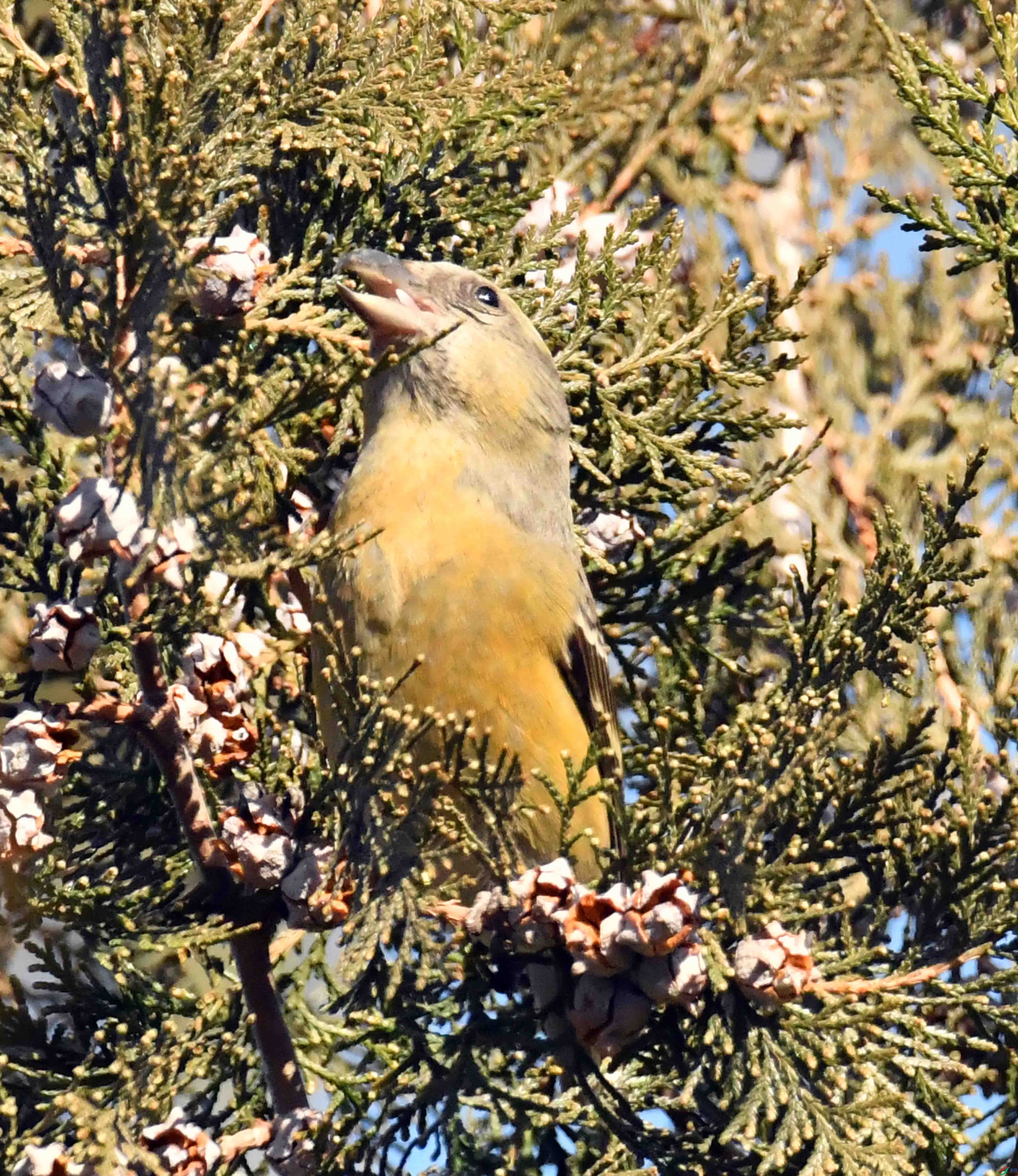 DSC_5396.JPG