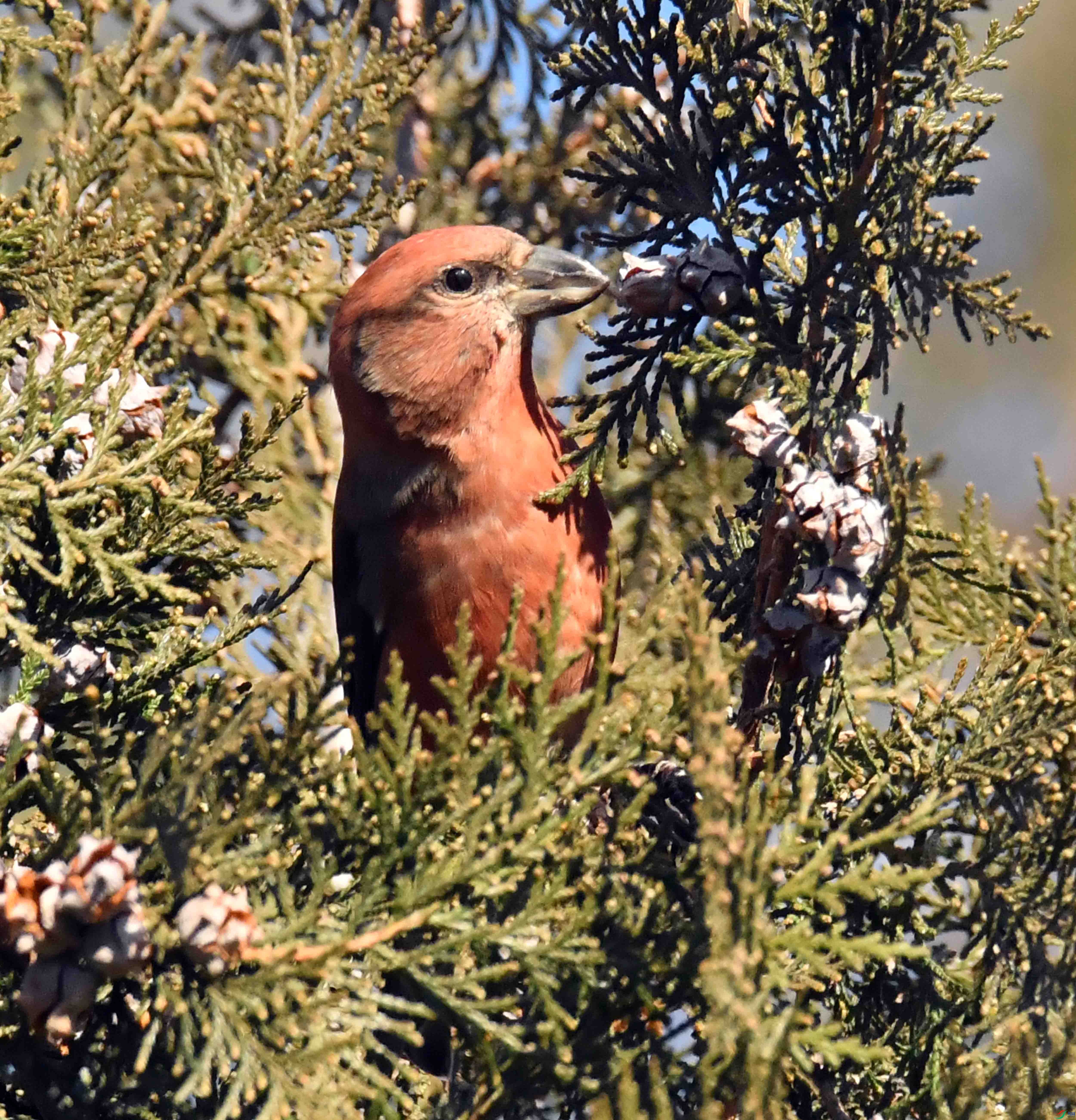 DSC_5430.JPG