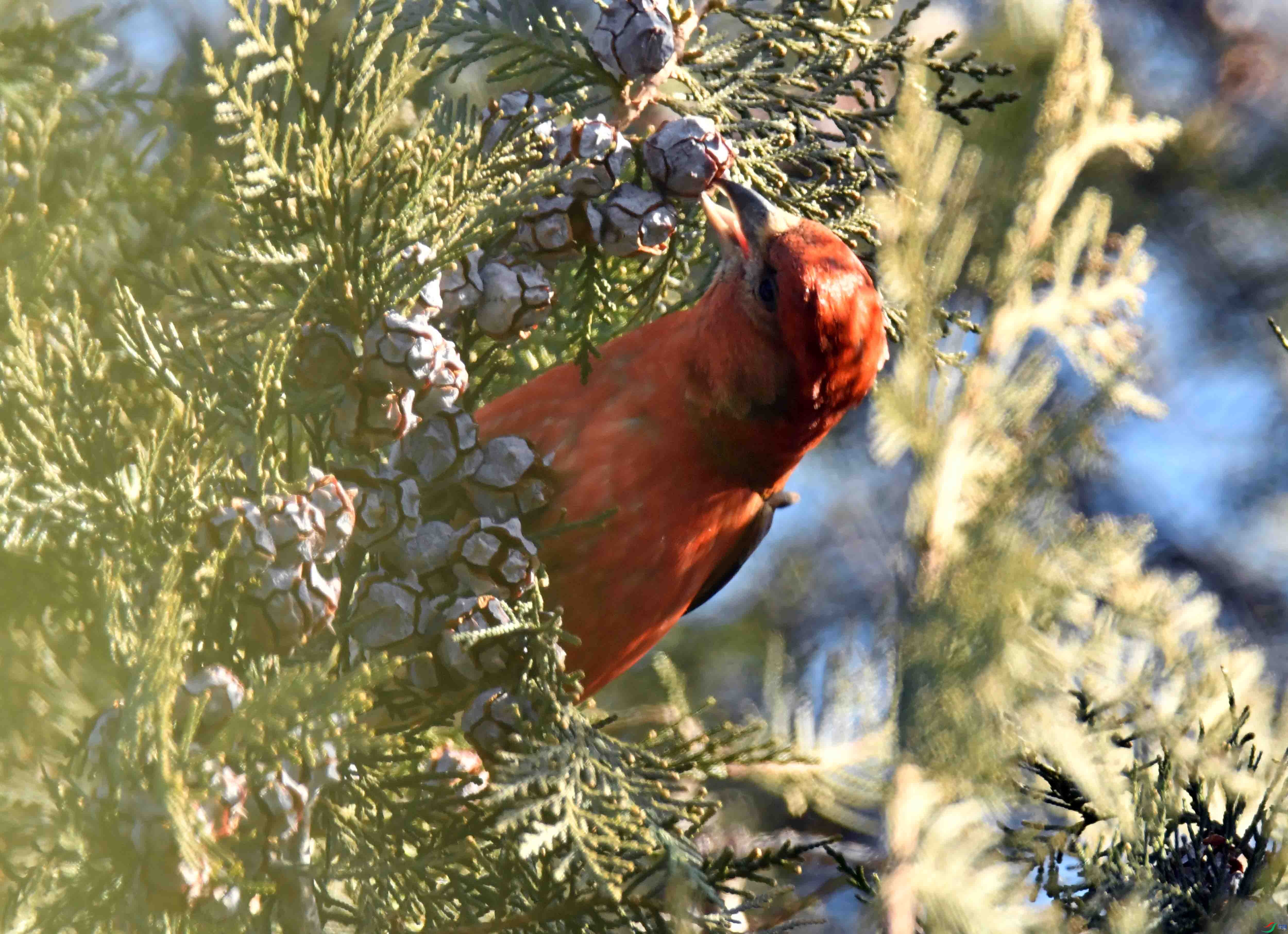 DSC_6894.JPG