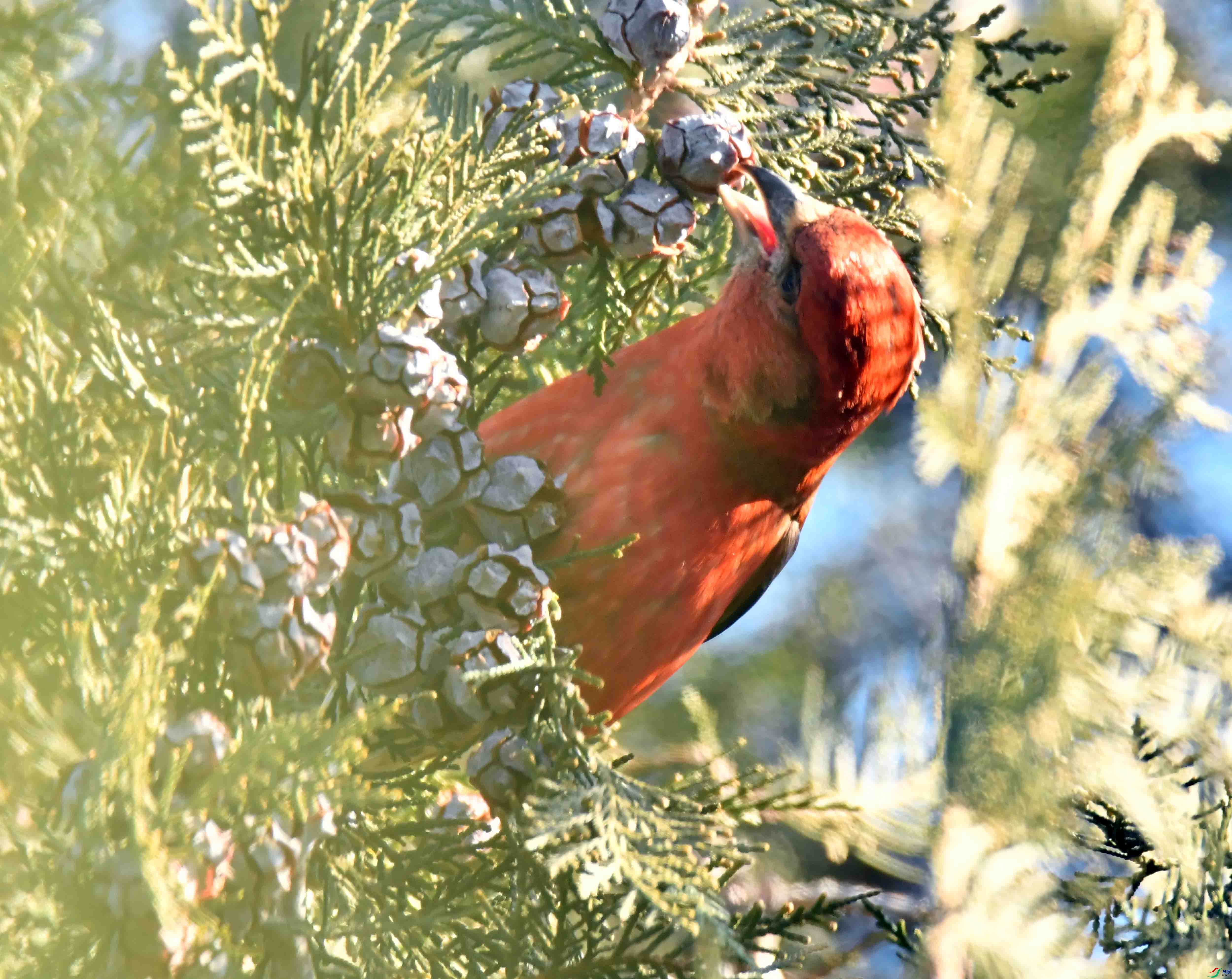 DSC_6893.JPG