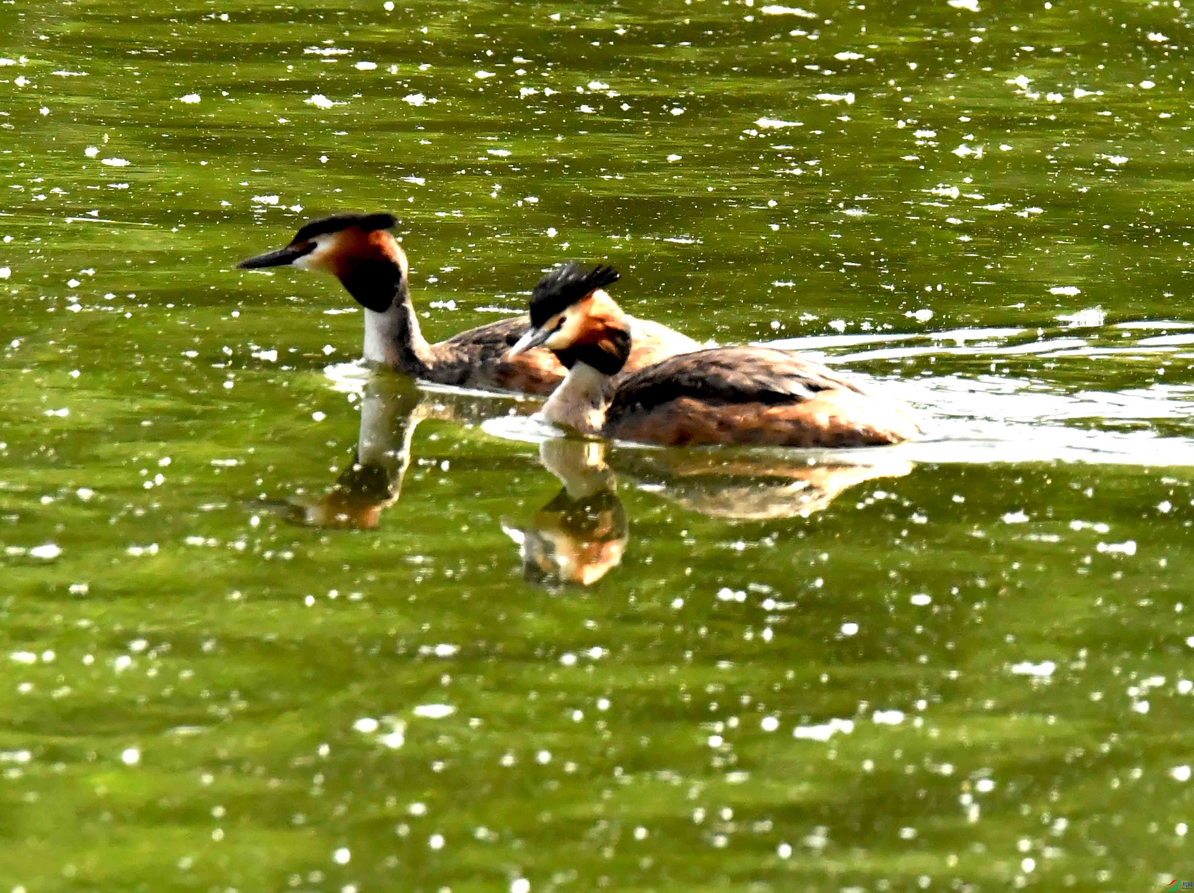 DSC_3025.JPG