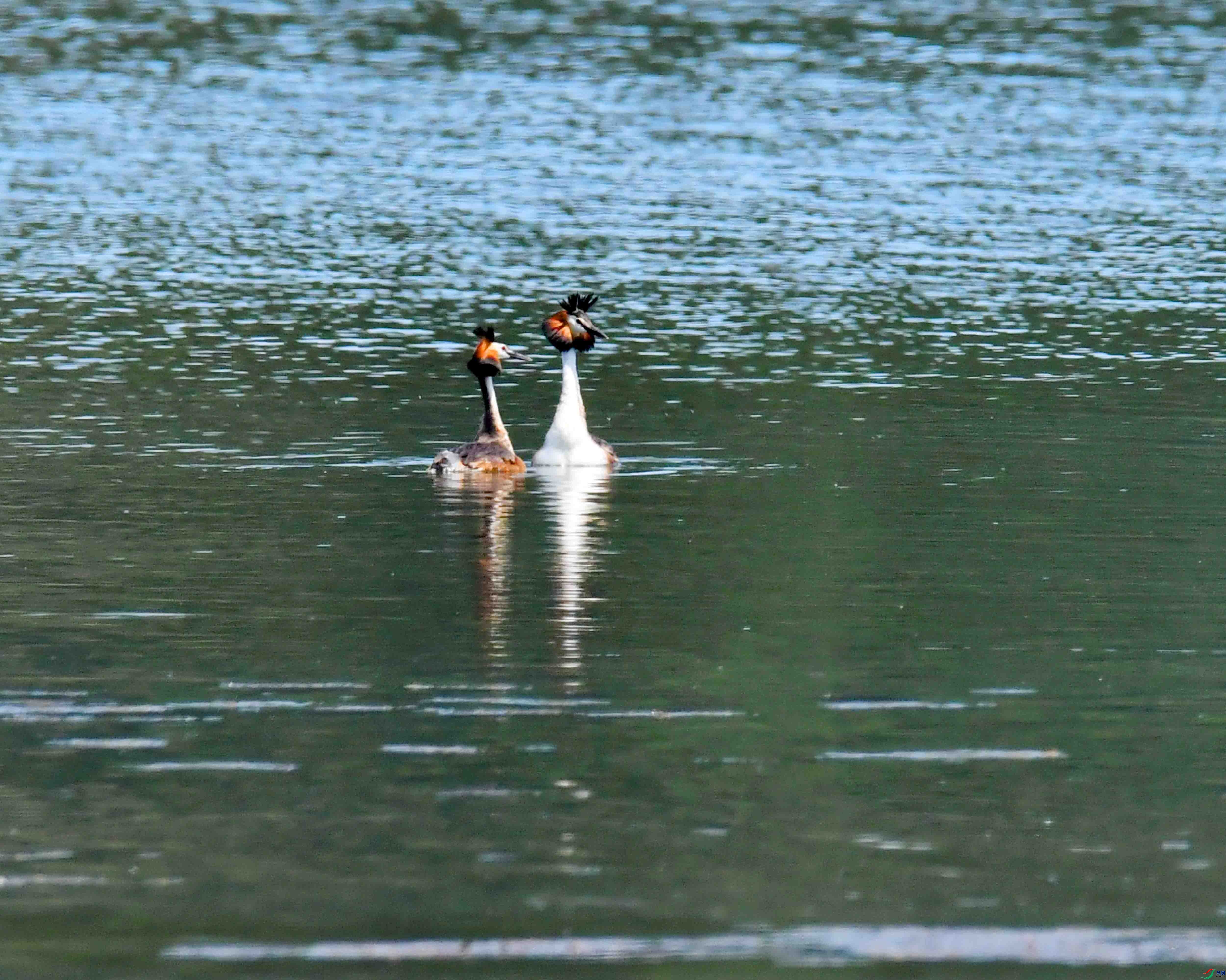 DSC_6474.JPG