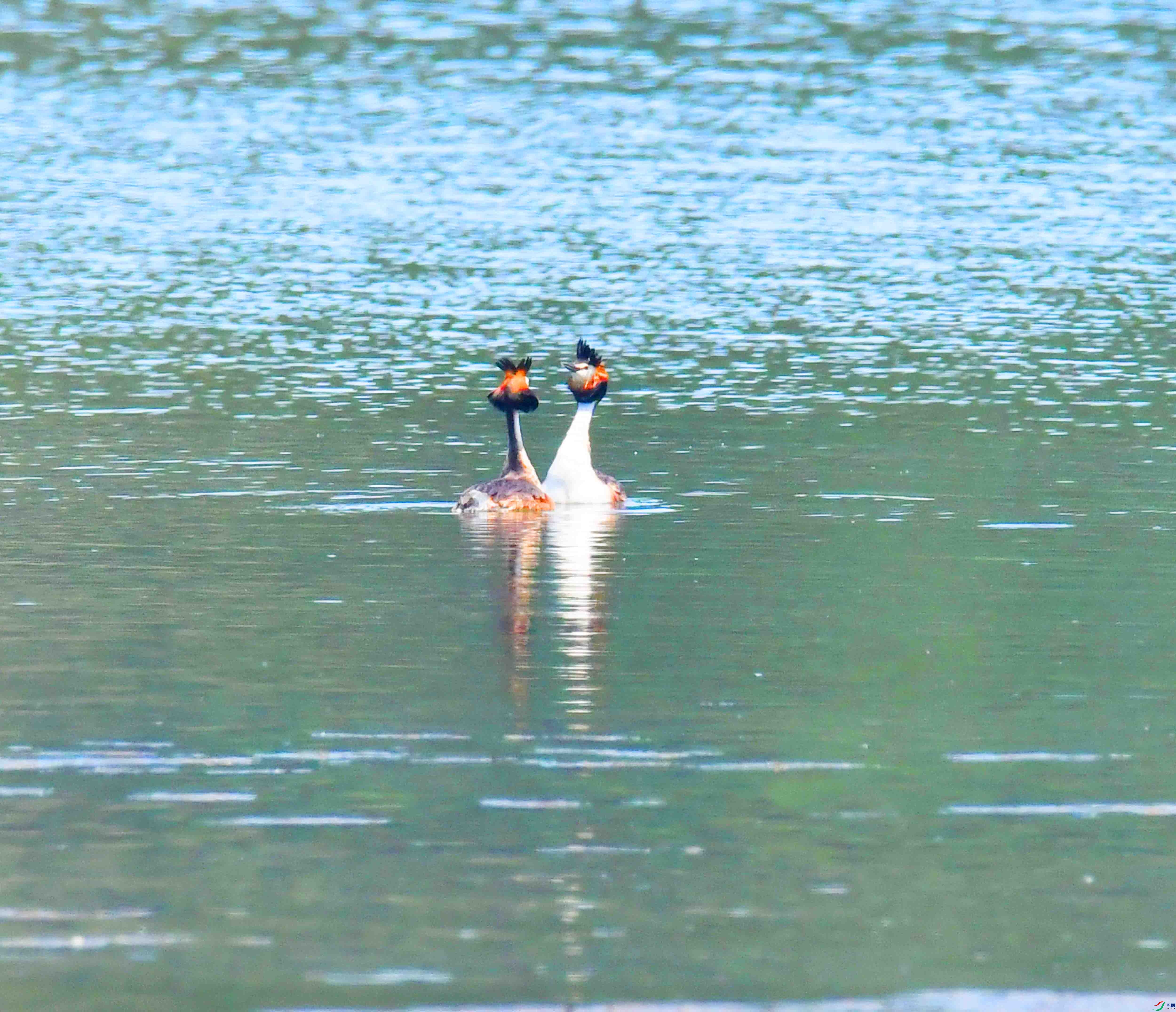 DSC_6477.JPG