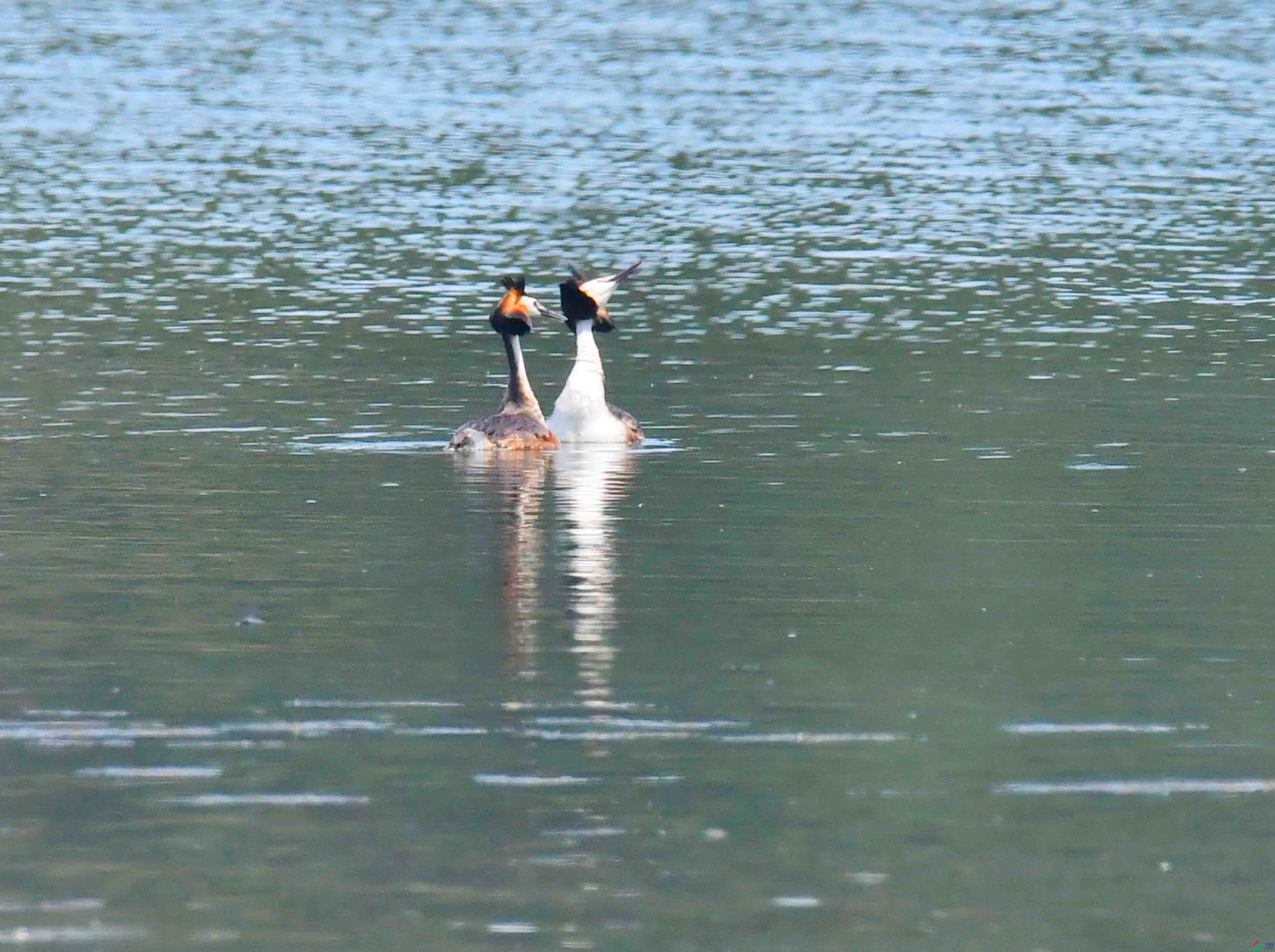 DSC_6476.JPG