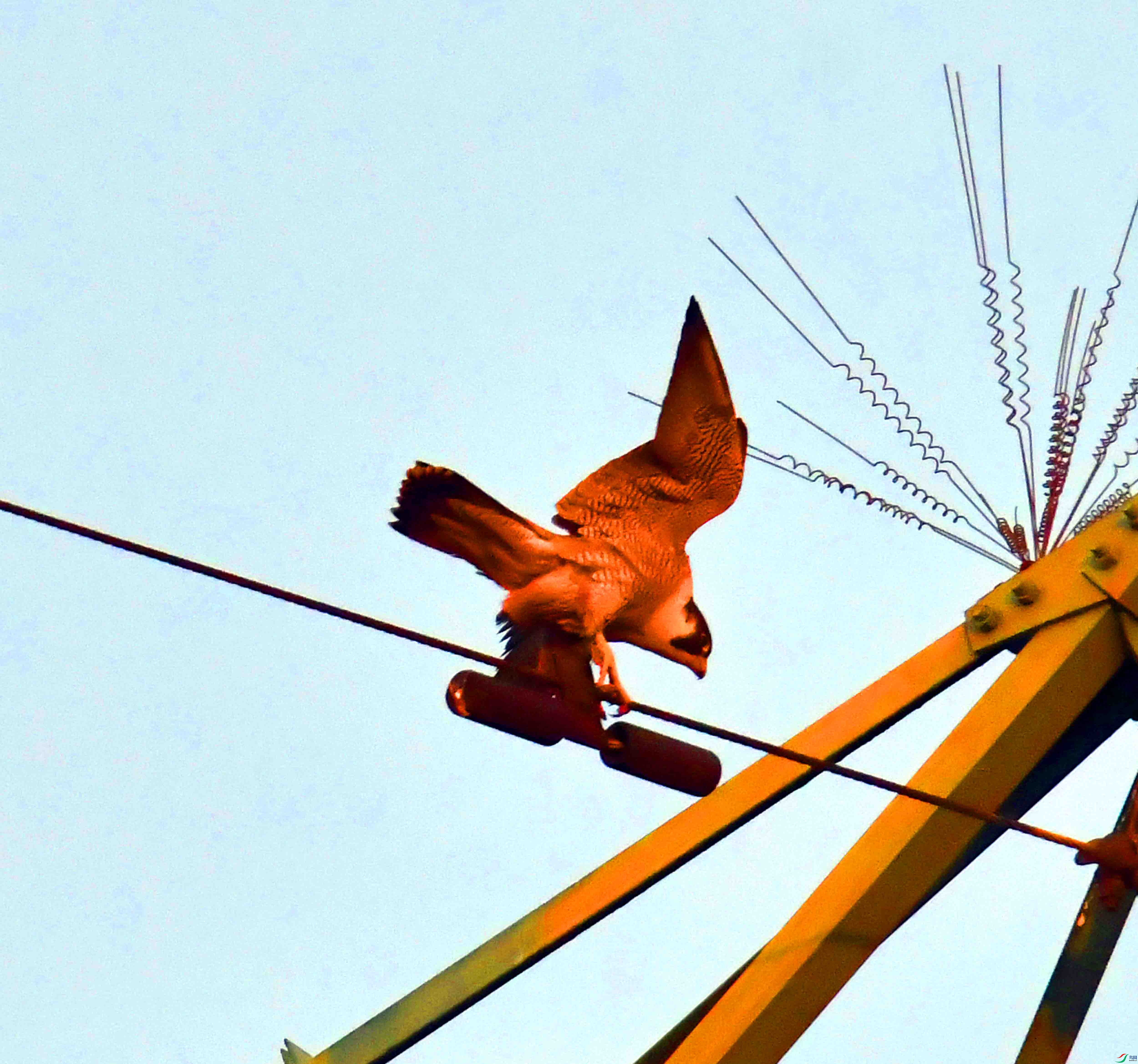 DSC_3064.JPG