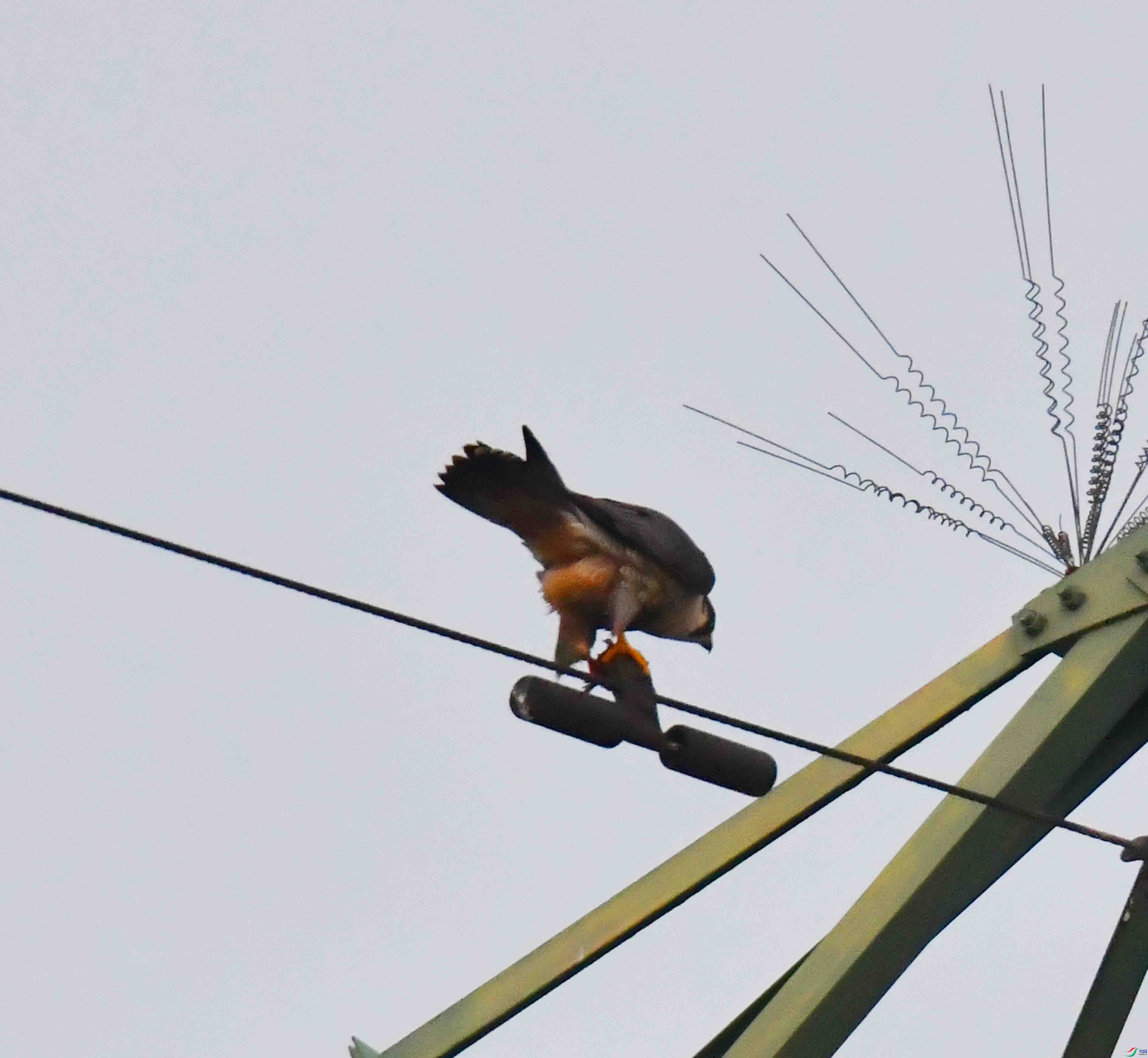 DSC_3120.JPG