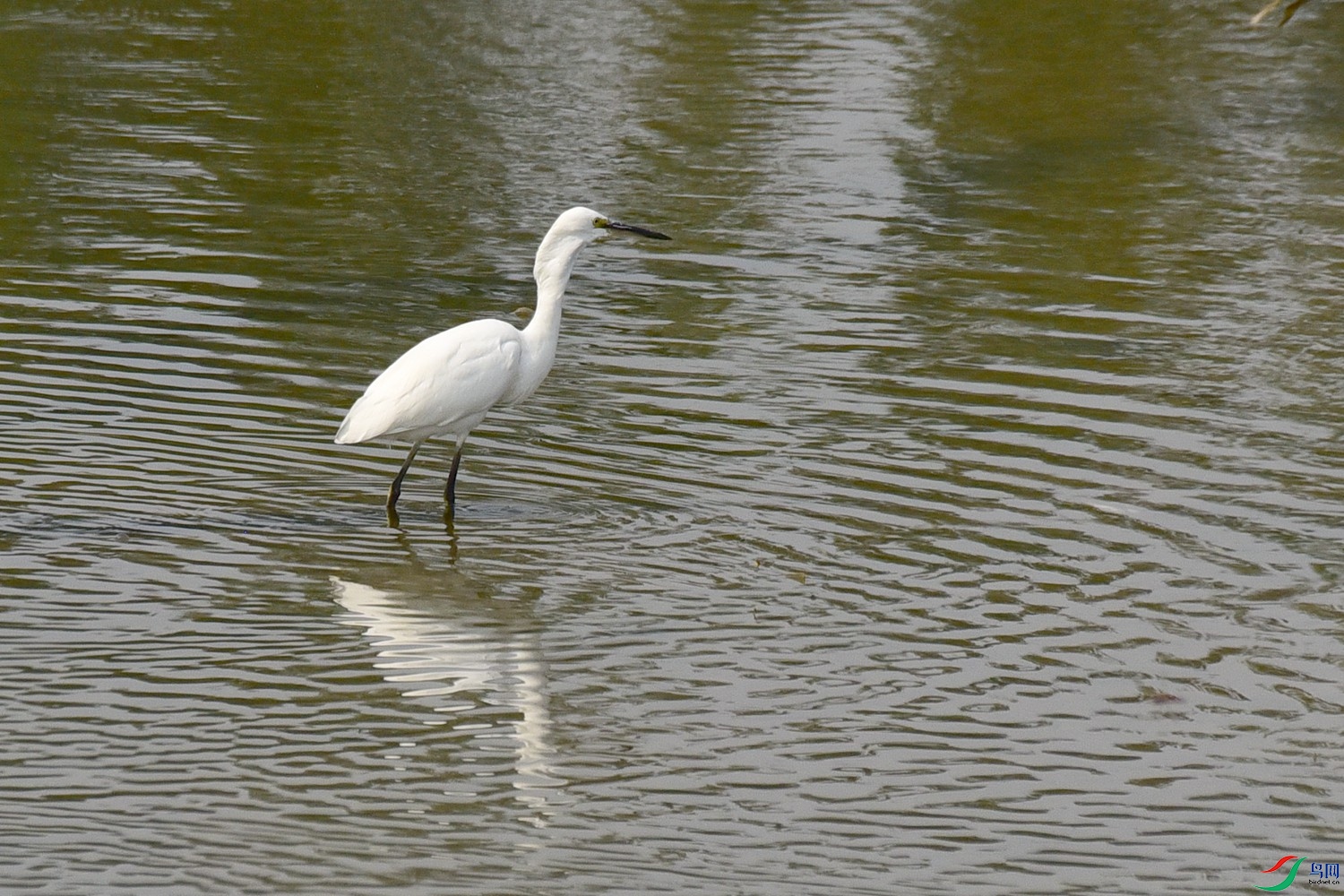 DSC_4042.JPG