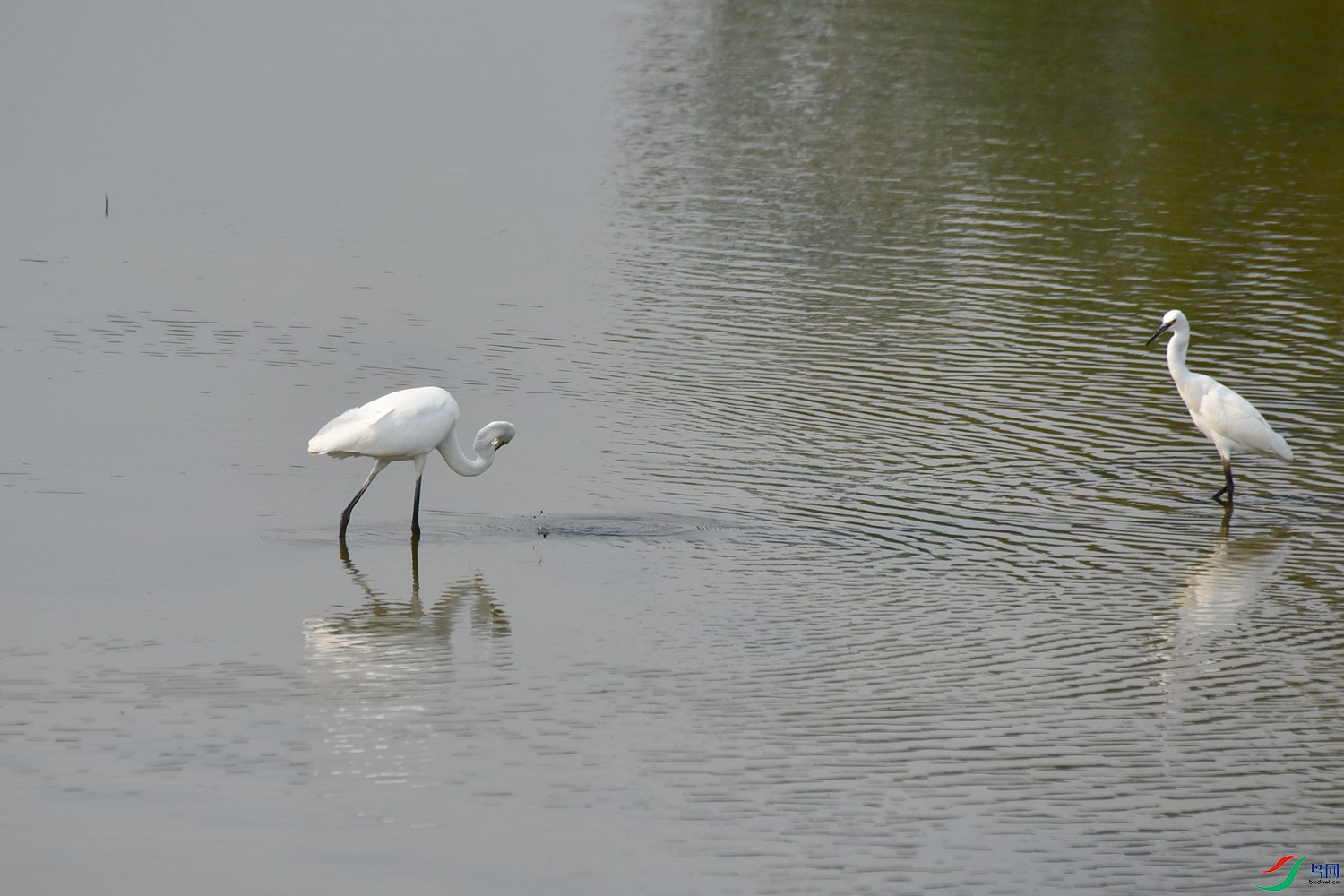 DSC_4049.JPG