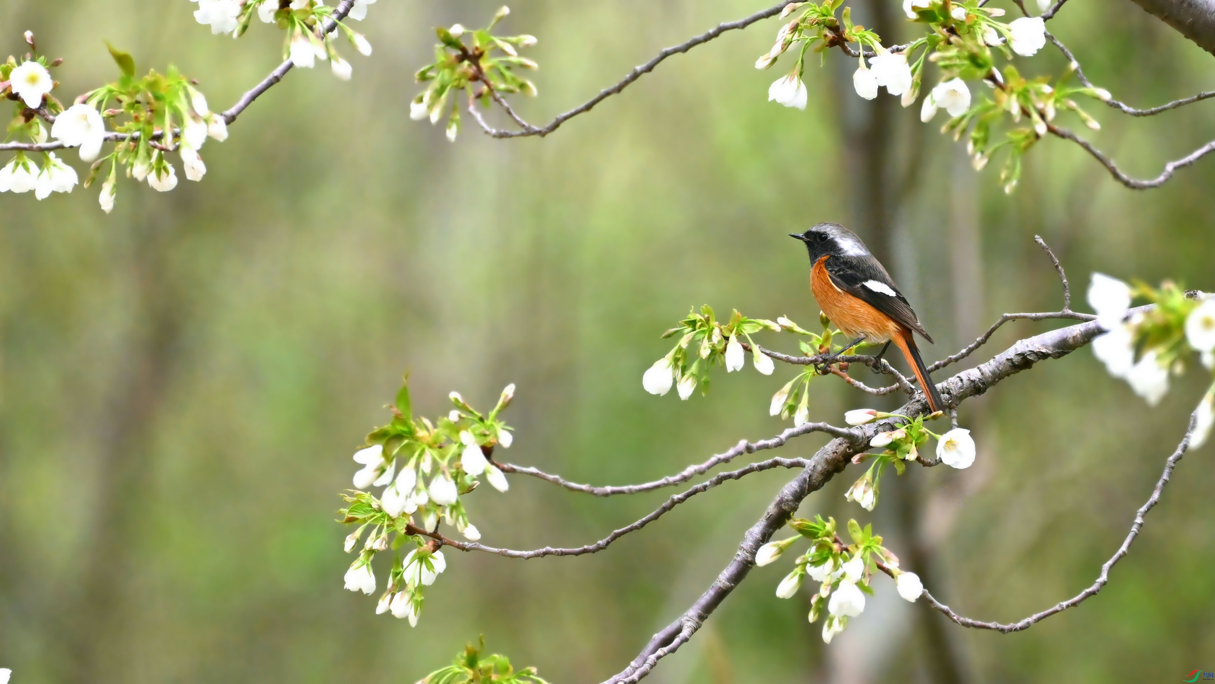 DSC_0638.JPG