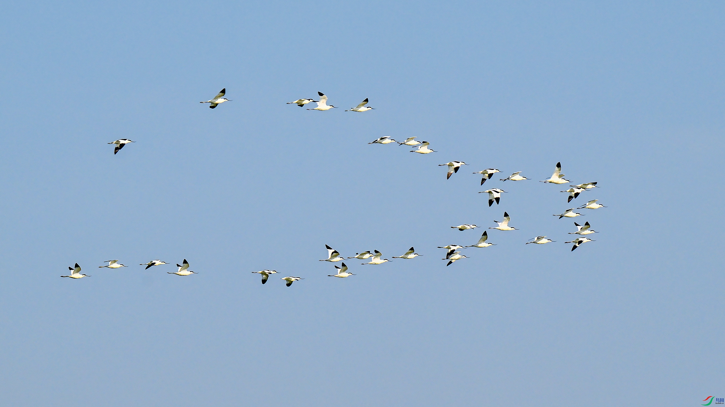 DSC_1332.jpg