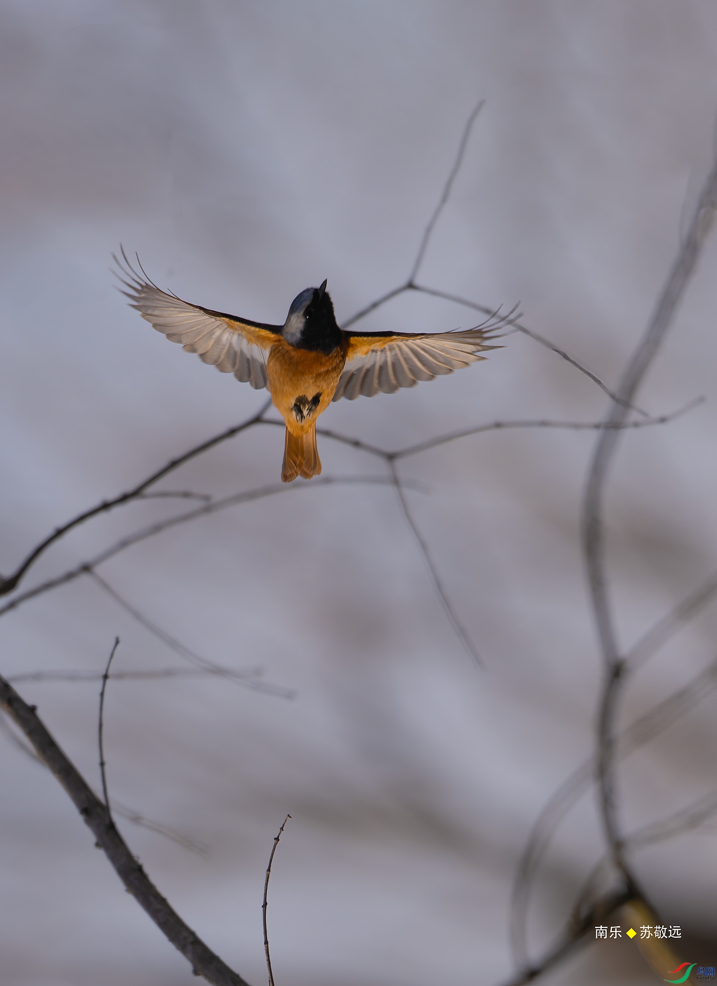 _DSC5166-NEF_DxO_С.jpg