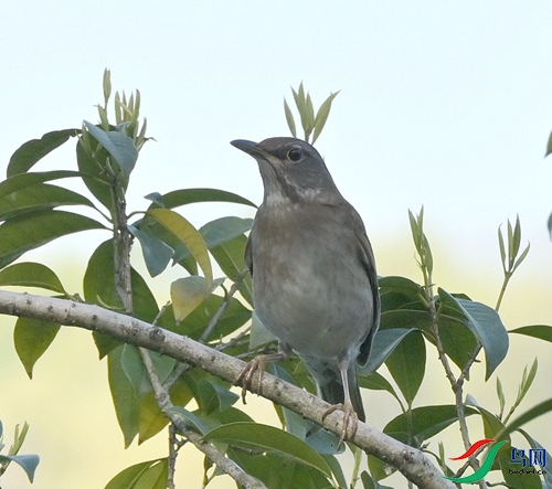 DSC_8044.JPG