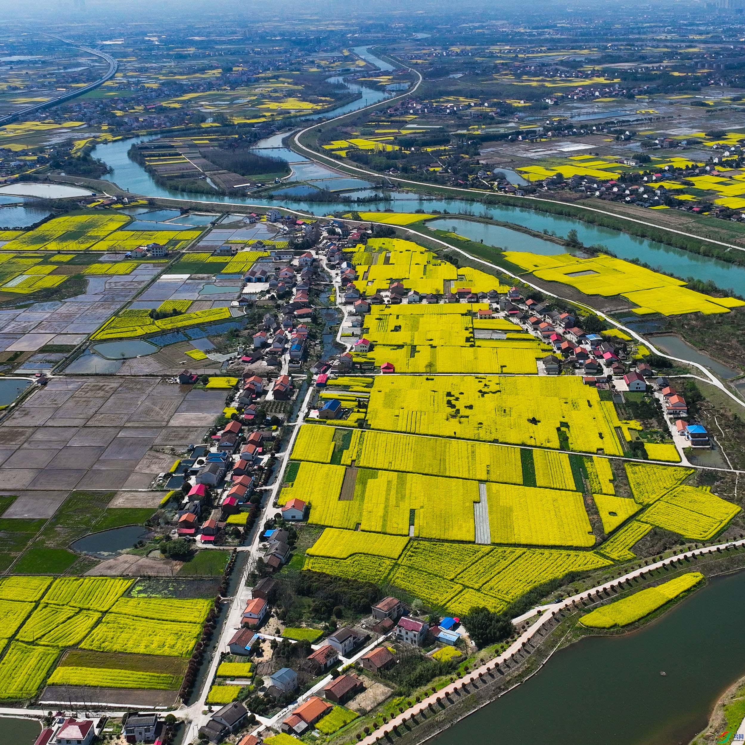 DJI_0931x.jpg
