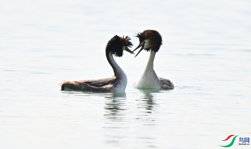 DSC_3623.JPG