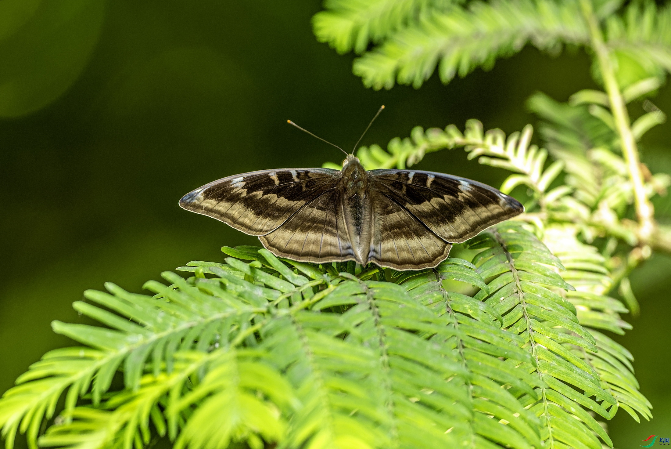 ���̵� (172)-ORF_DxO_PRIME.jpg