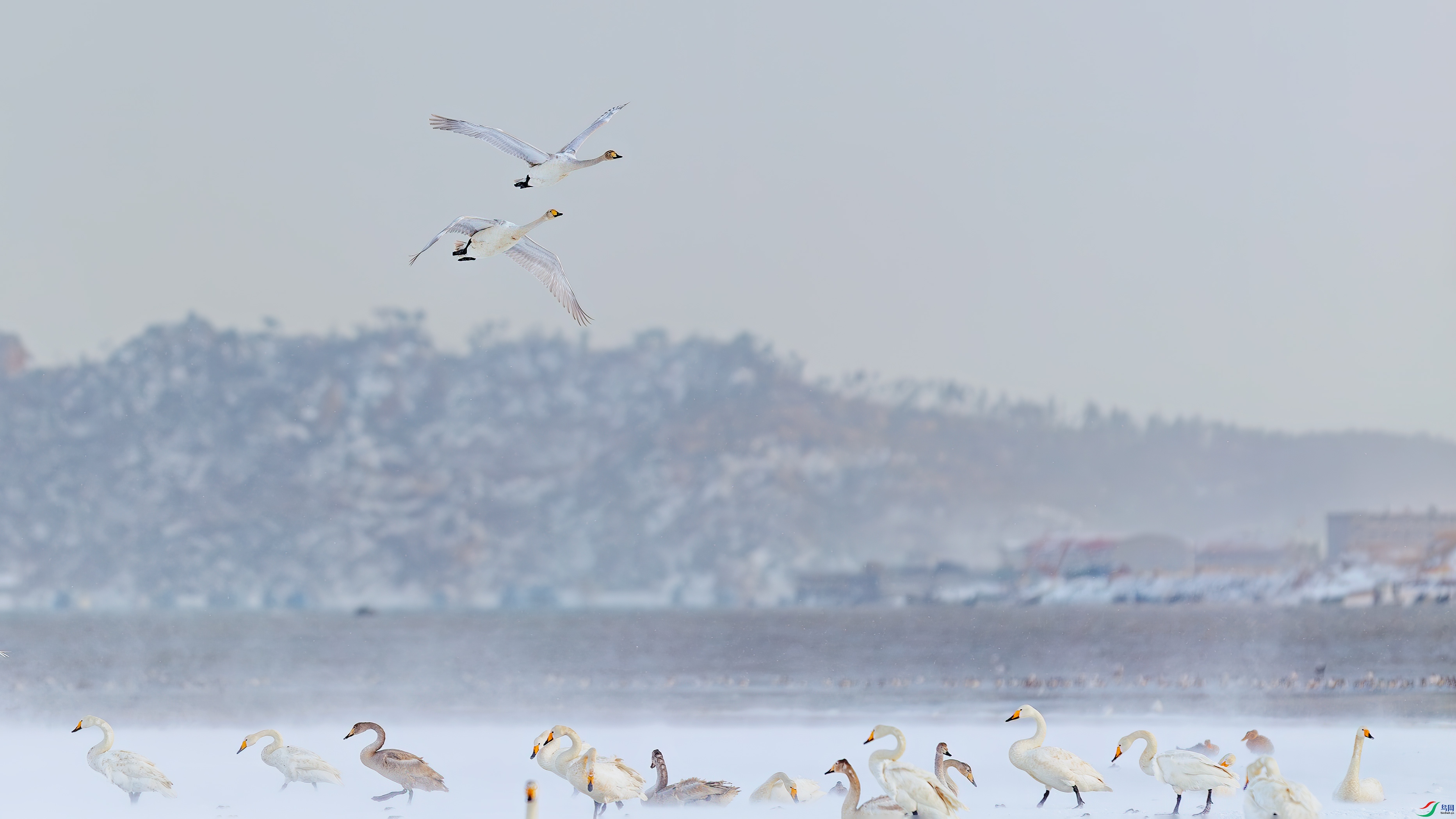 A30V9769-1��.jpg