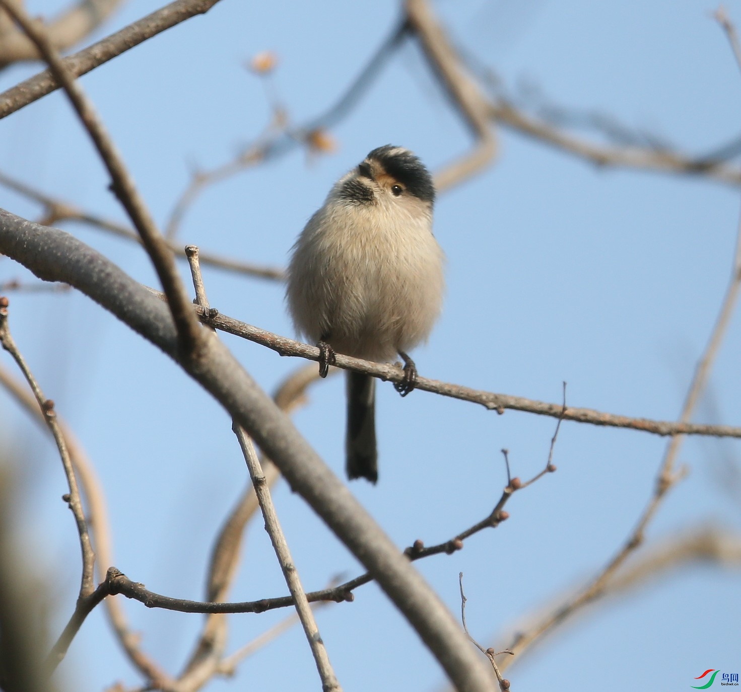 D89P6888.JPG