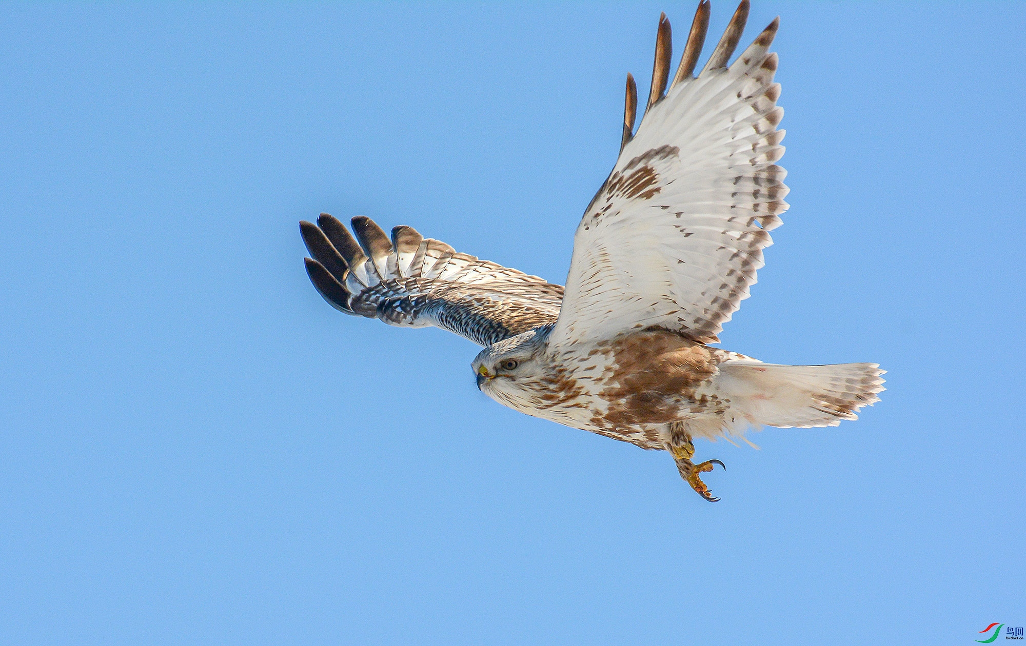 DSC_9619.jpg