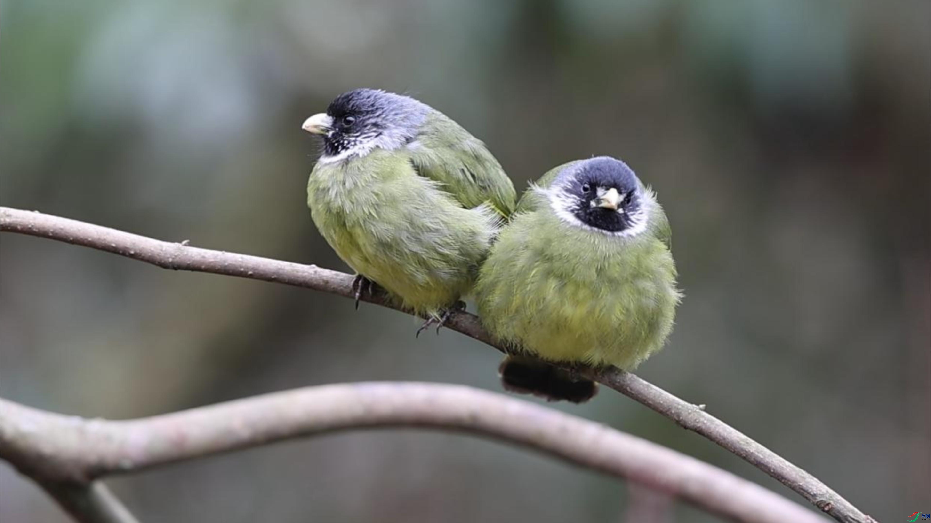 3��25�� (1)-����.jpg