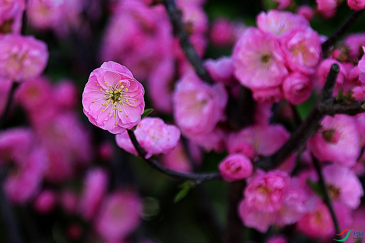 IMG_2583.jpg