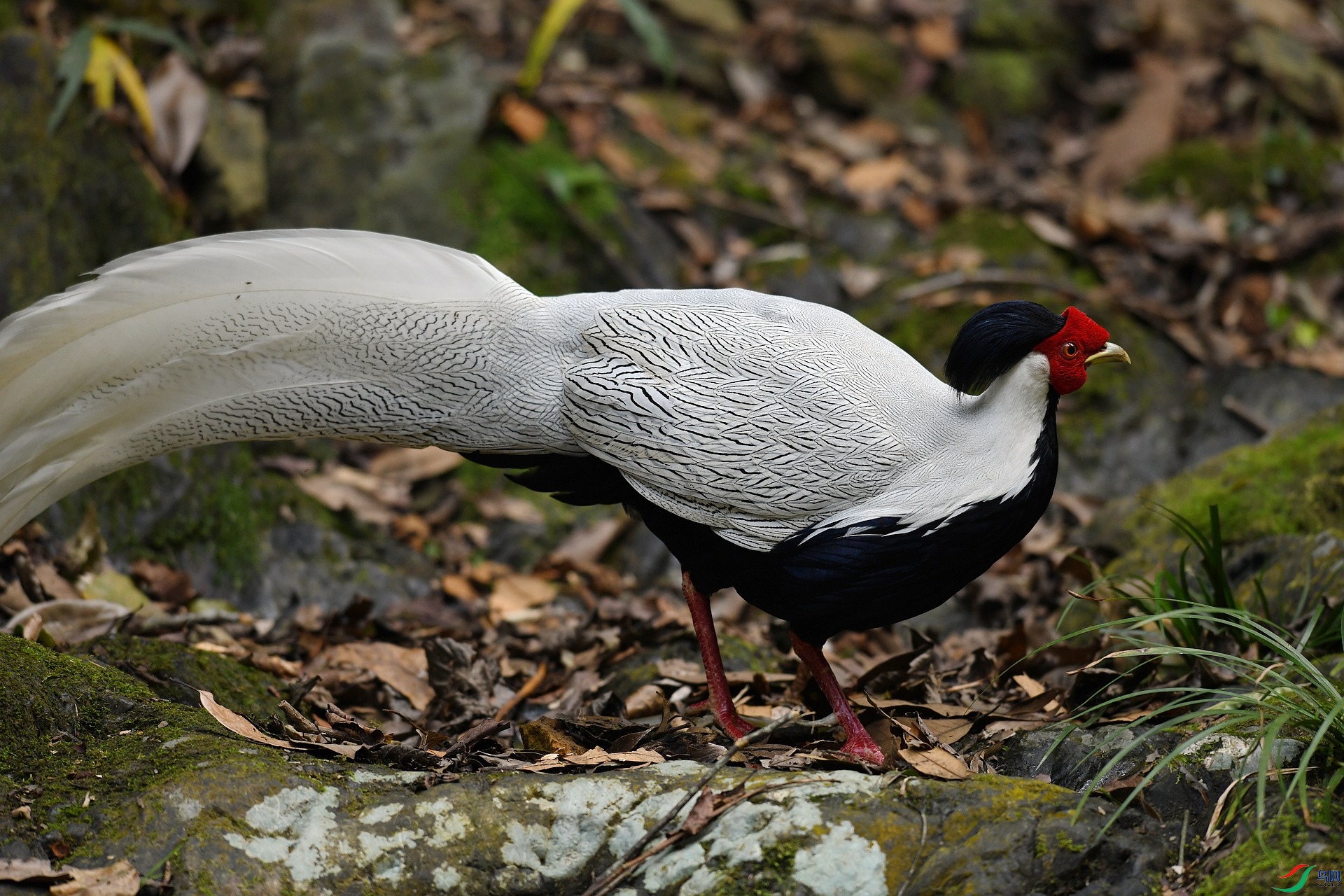 DSC_3923.jpg