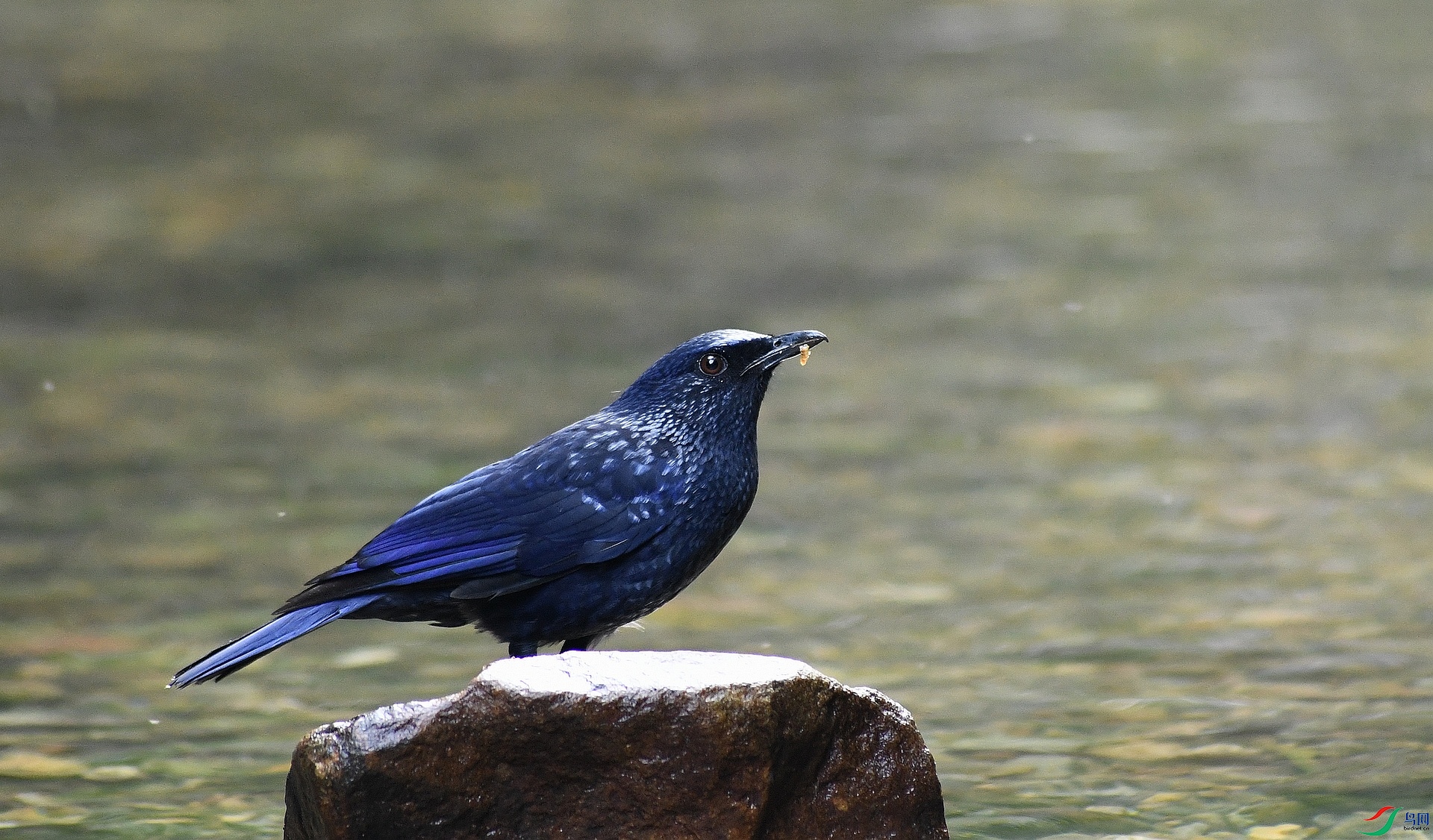 DSC_8721.jpg