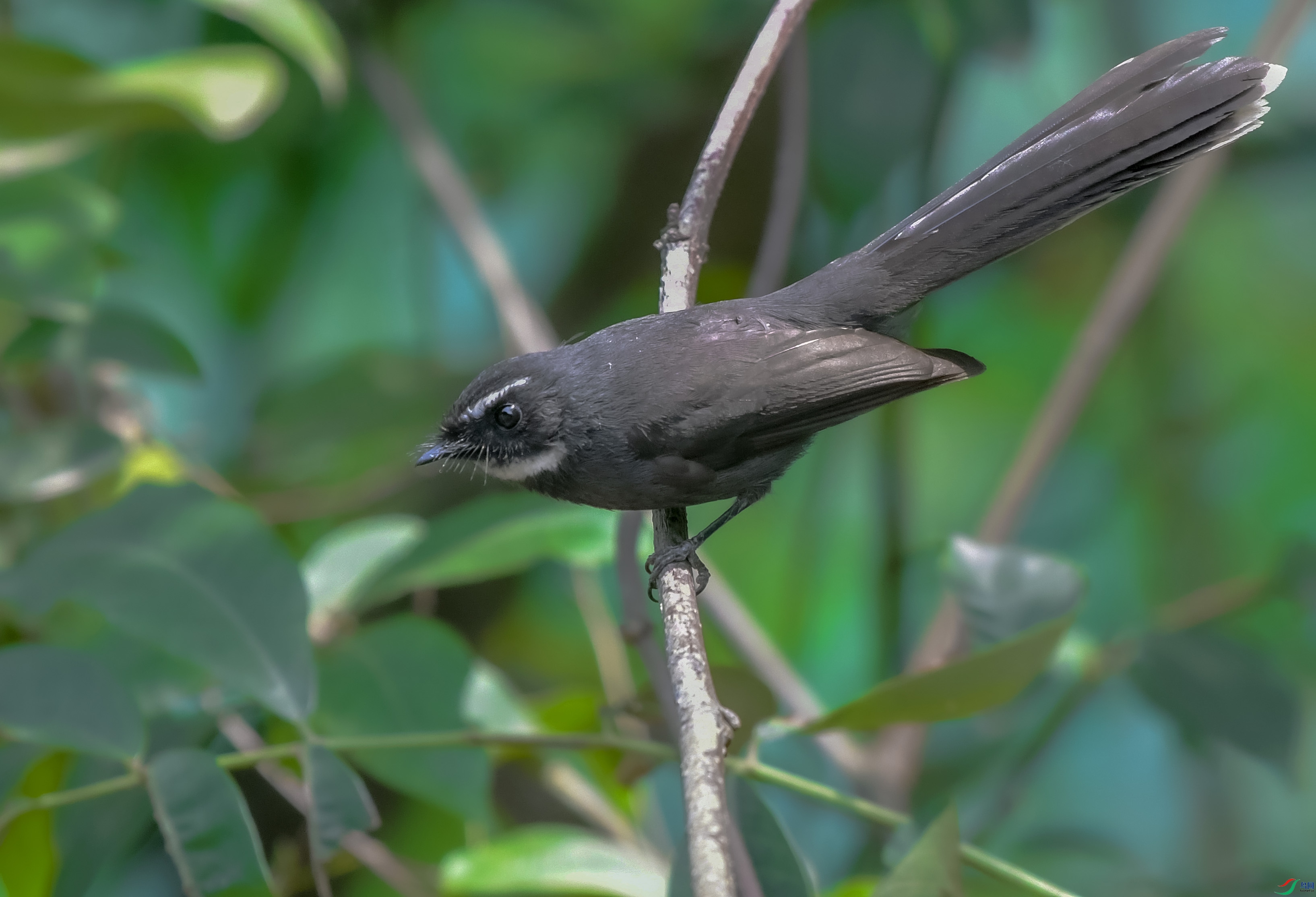 DSC_7429.JPG