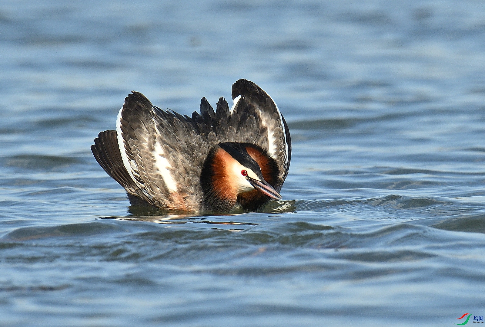 DSC_3924_01.JPG