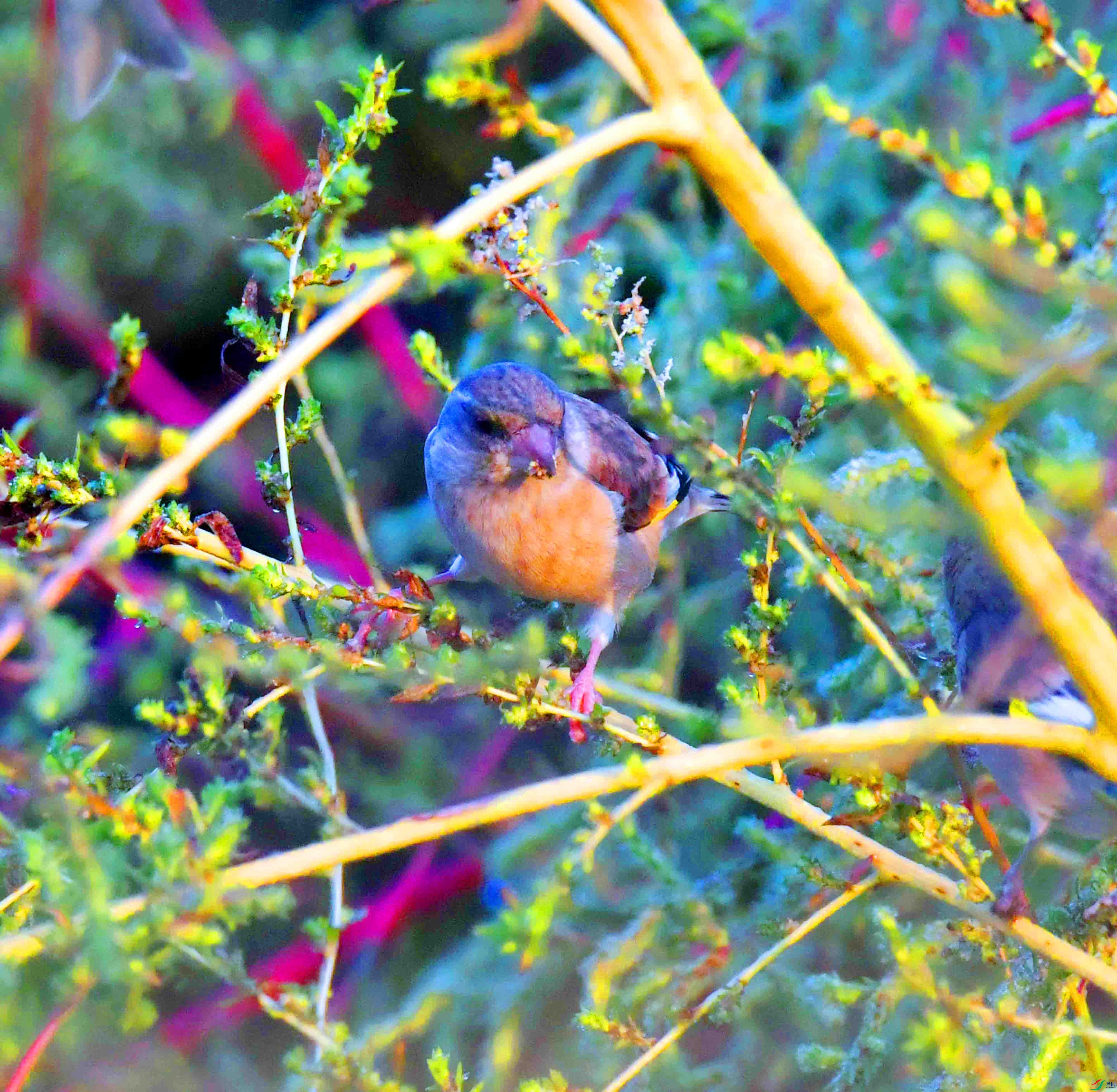 DSC_6134.JPG