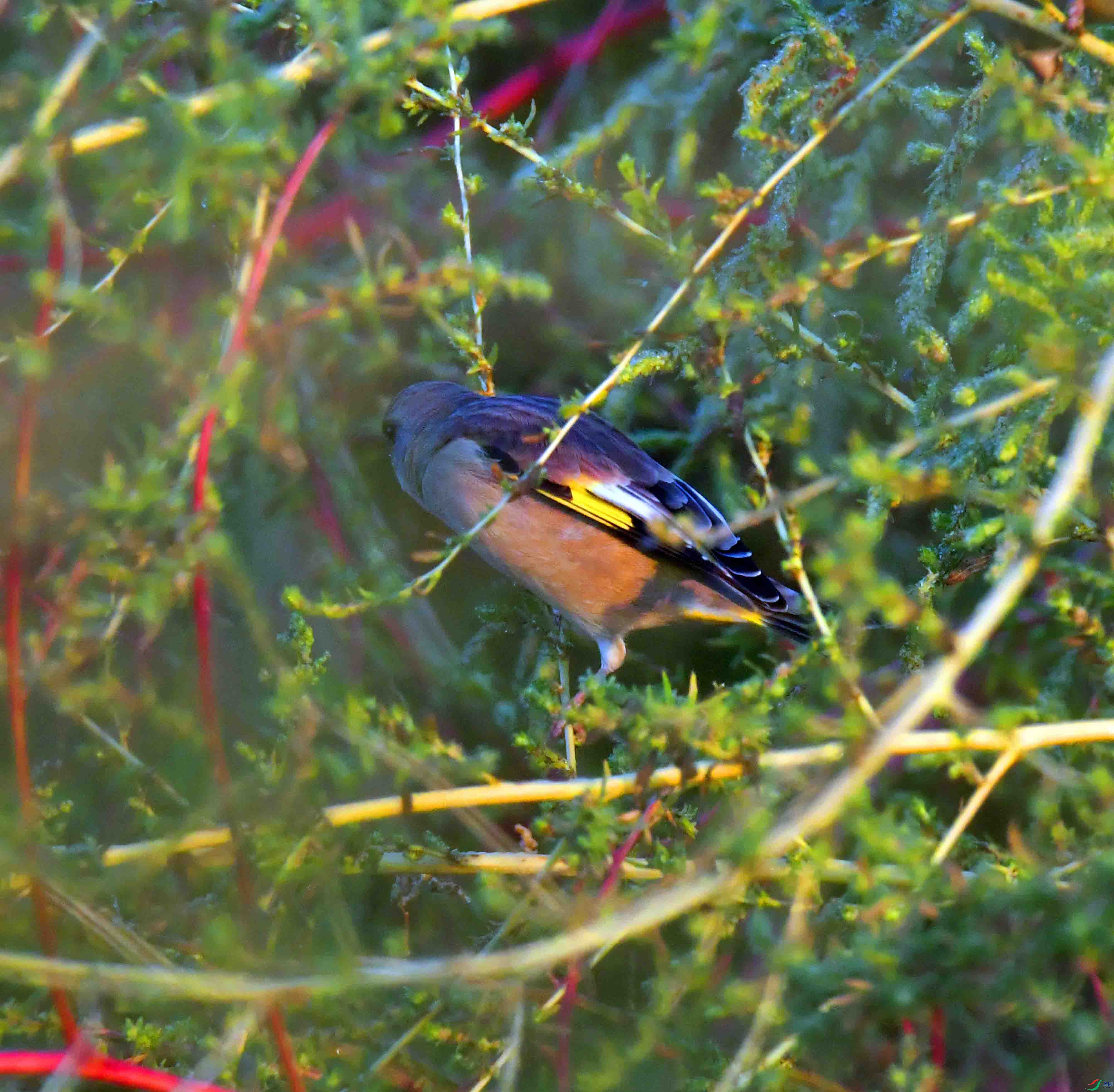 DSC_6123.JPG