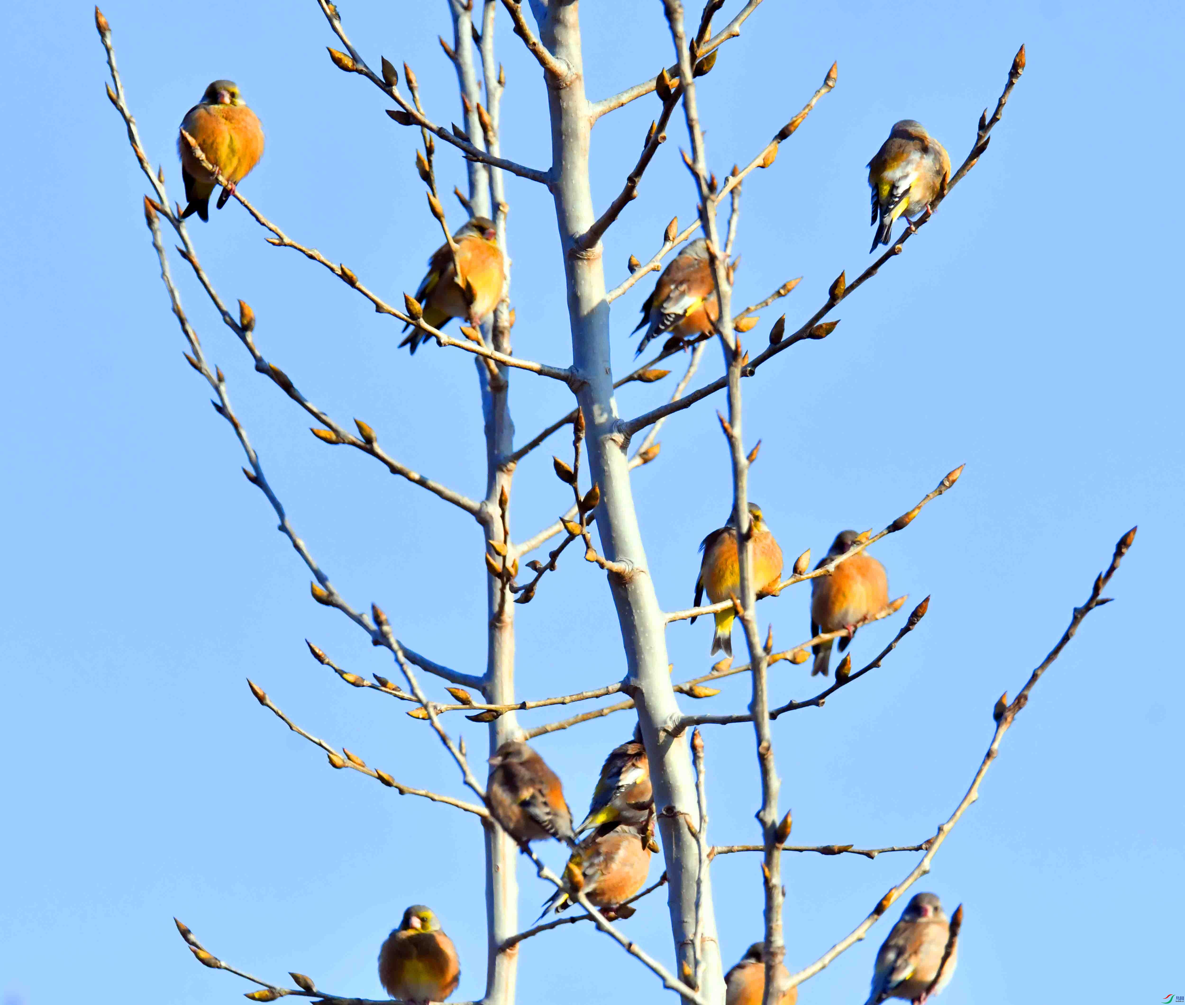 DSC_8176.JPG