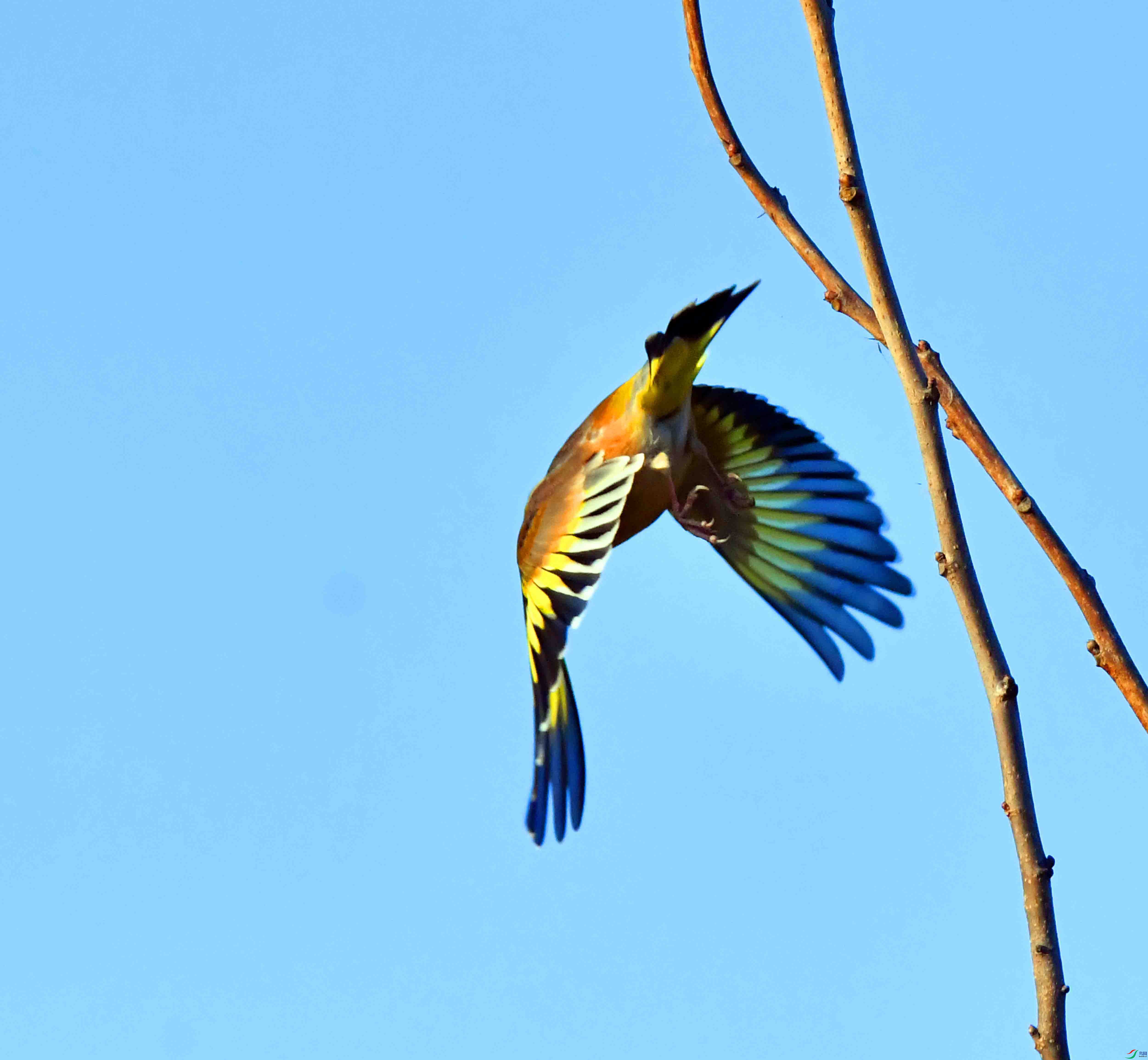 DSC_9716.JPG