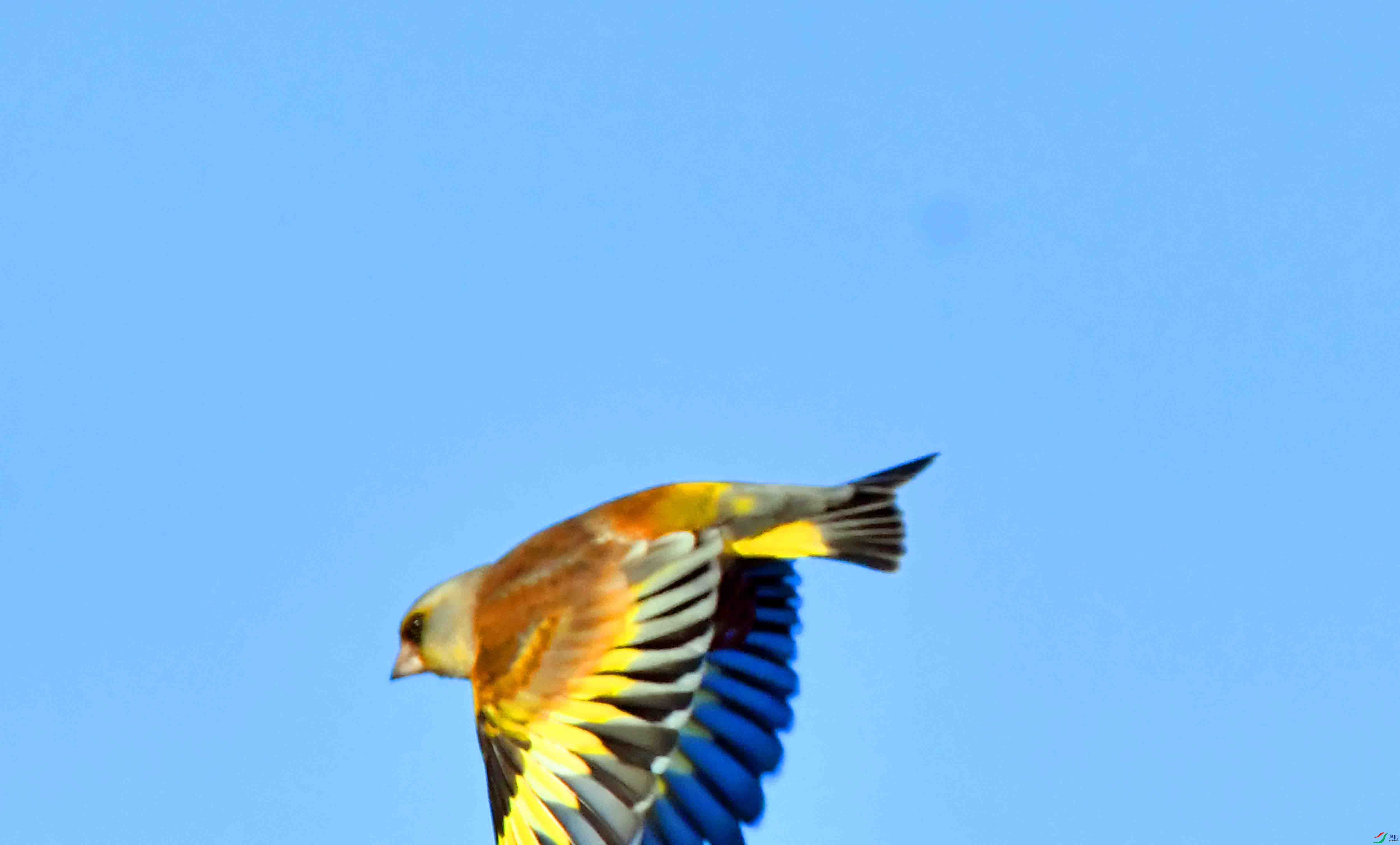DSC_9717.JPG