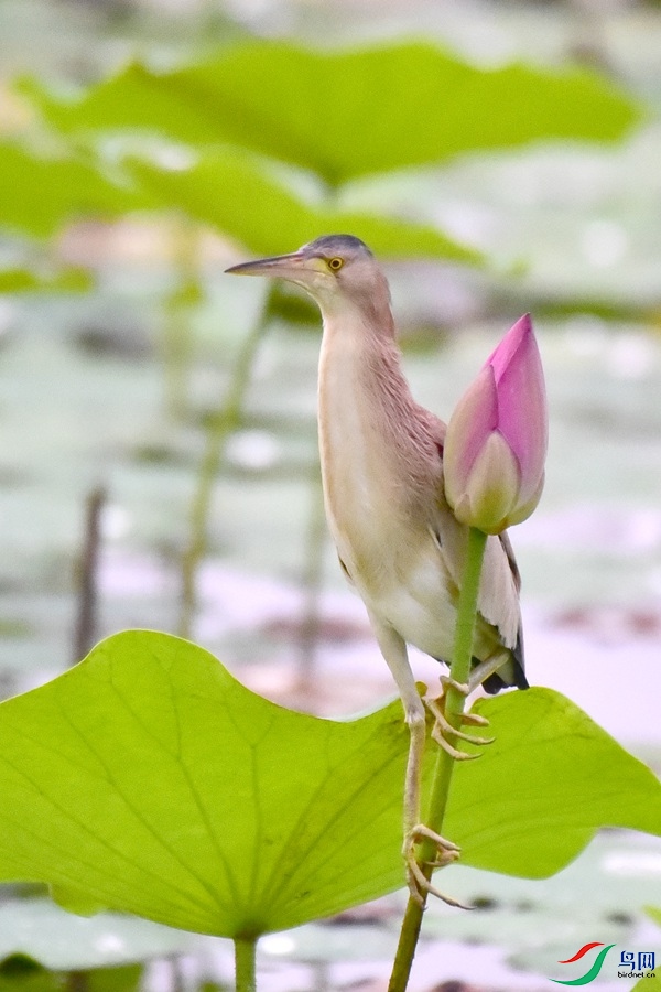DSC_5544.JPG