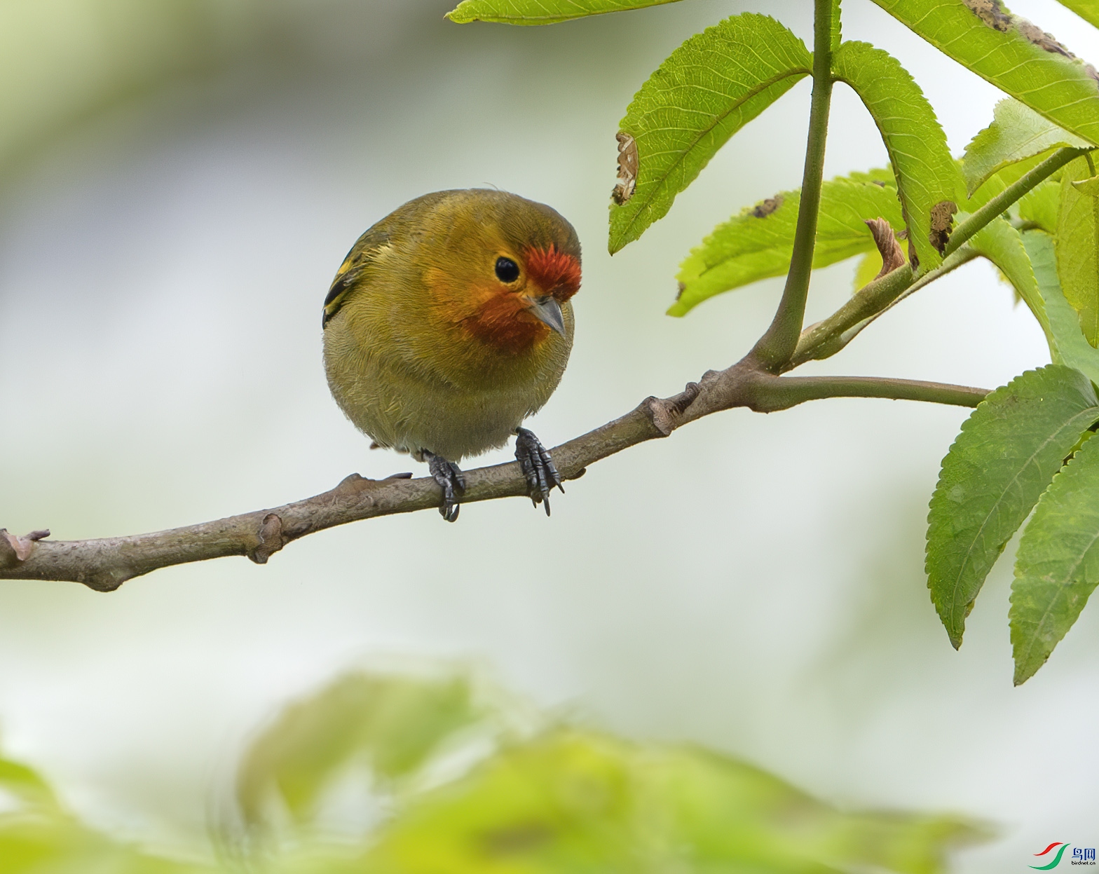 DSC_0992-����ǿ-NR ����.jpg