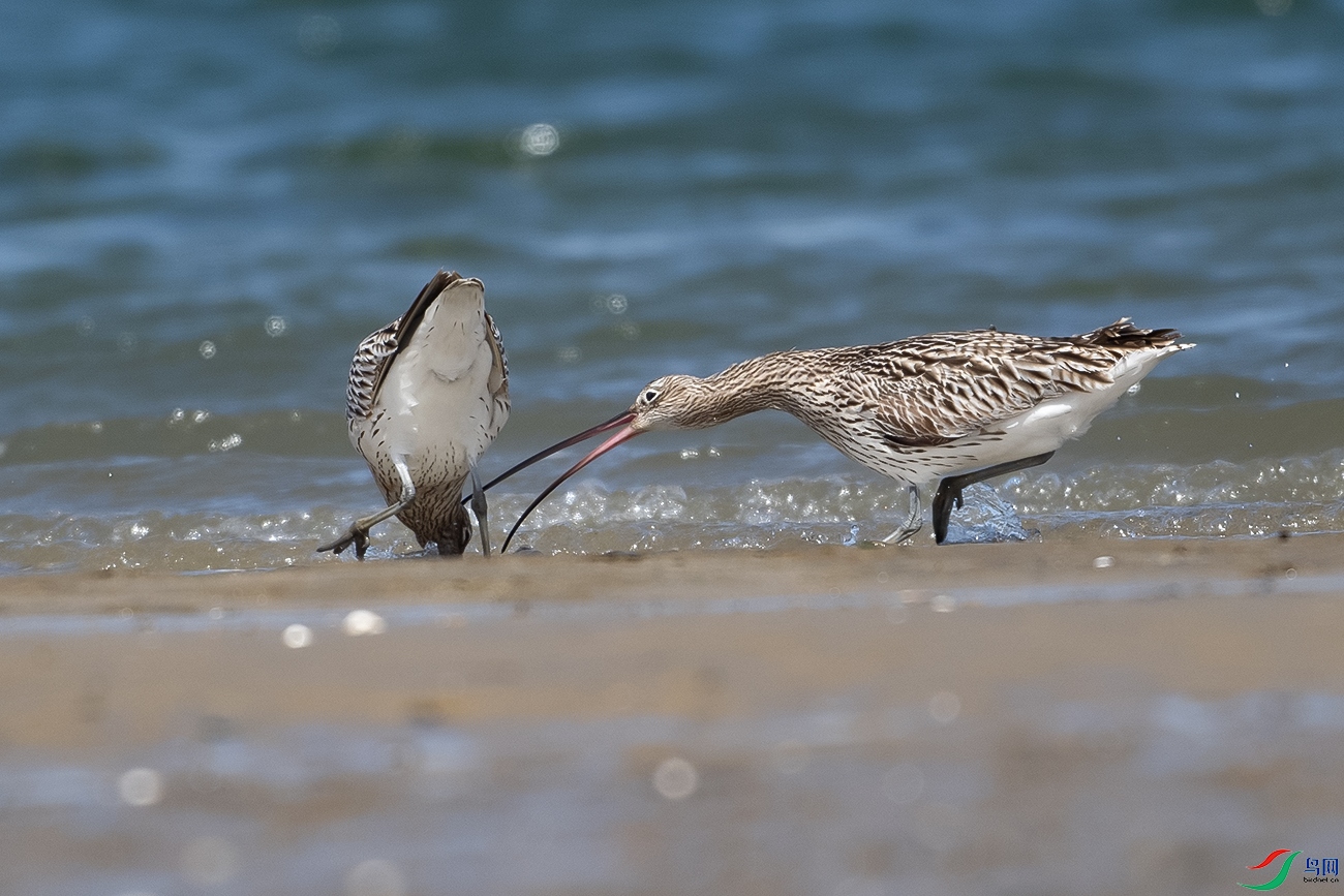 DSC_6748--.jpg