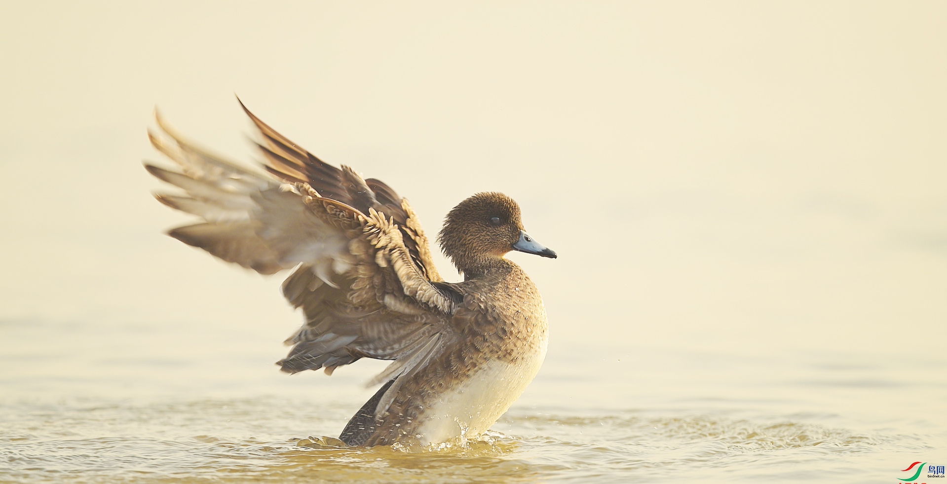 {AAE52138-FFC9-4E1B-9360-84CE1F292A5C} ����.jpg