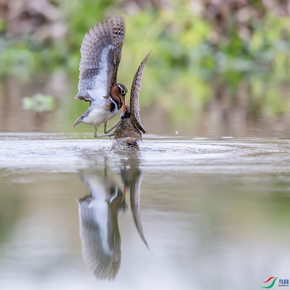 0F7A9863 ����.jpg