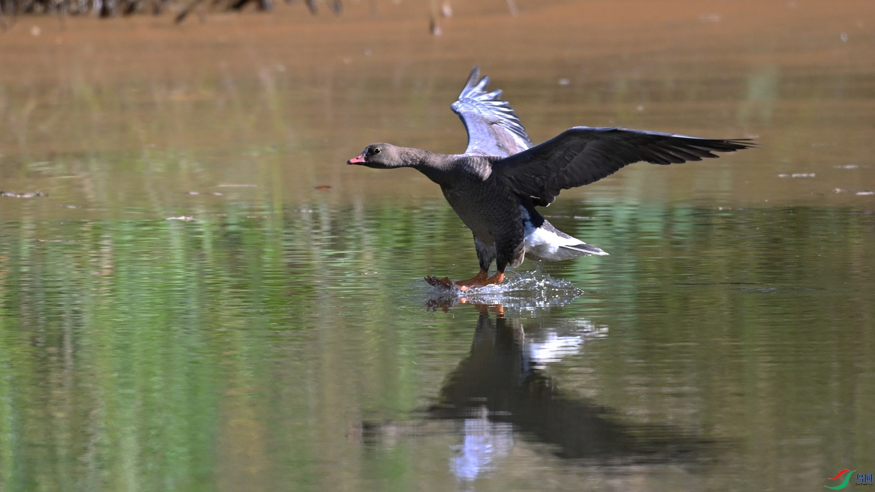 DSC_5651.JPG