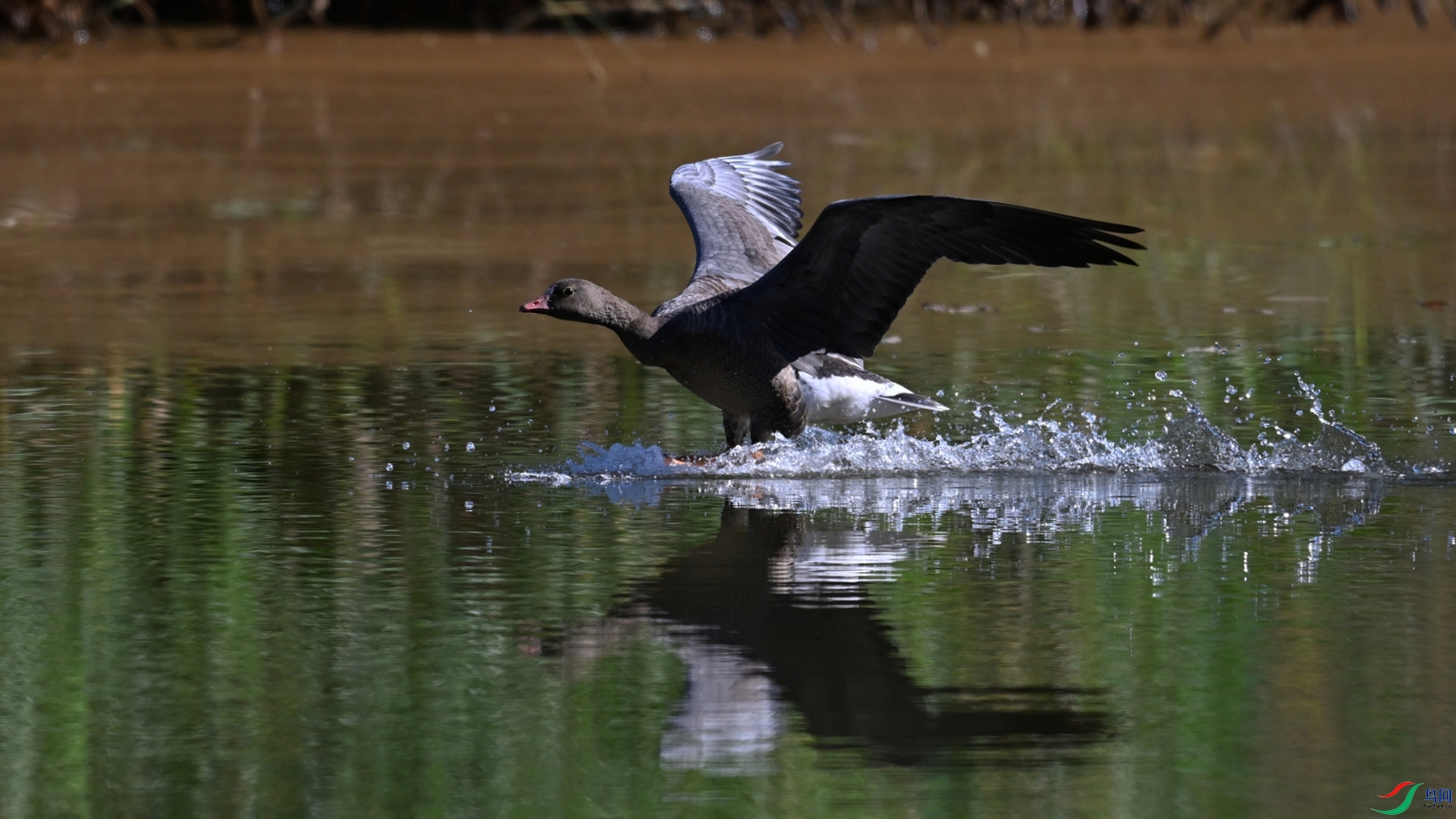 DSC_5655.JPG