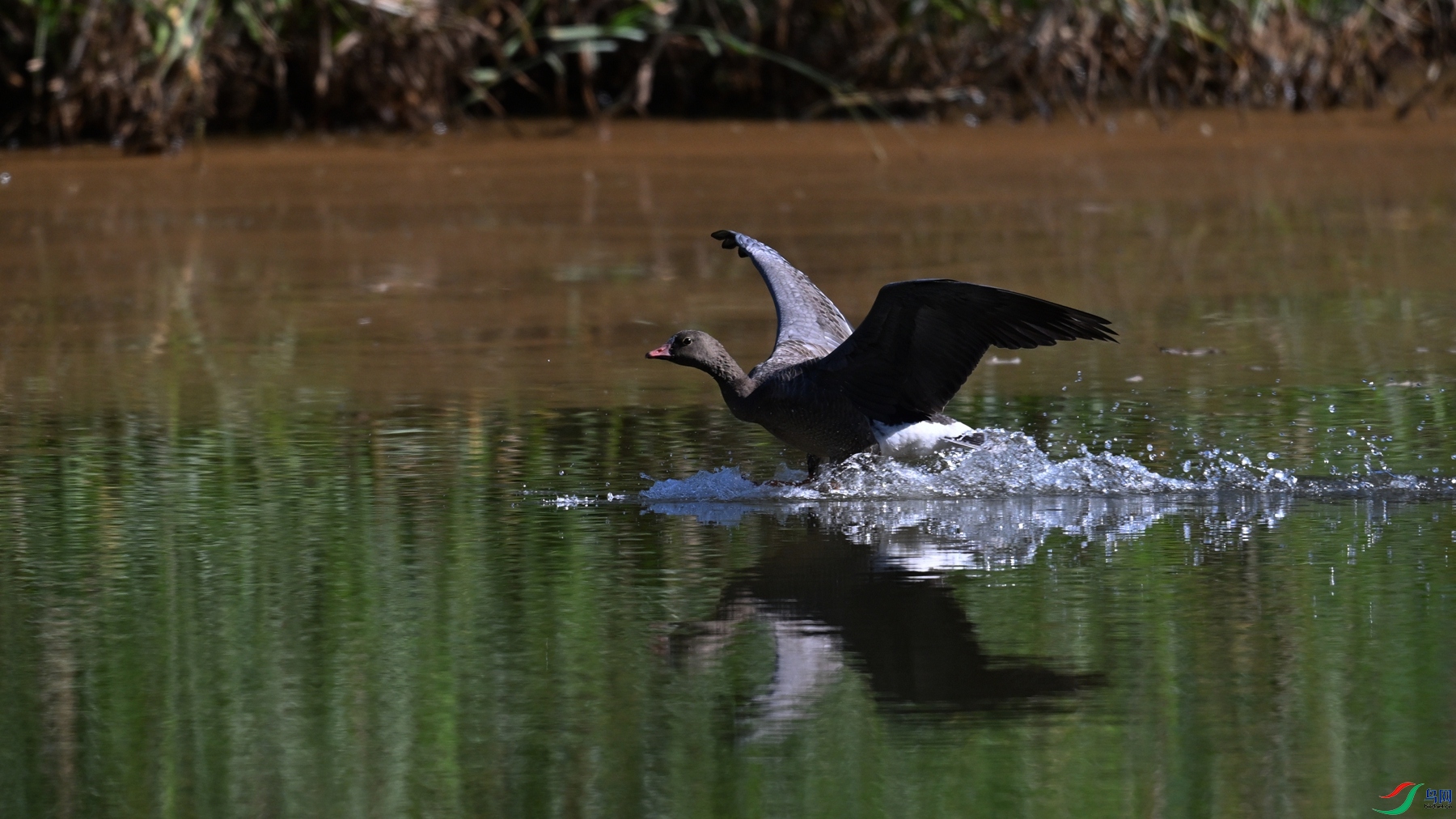 DSC_5656.JPG