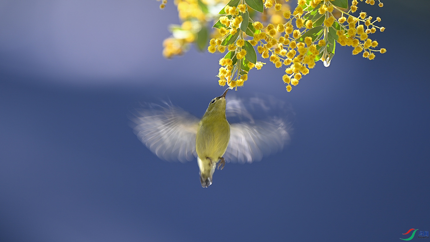 _DSC6516 ���� 2.jpg