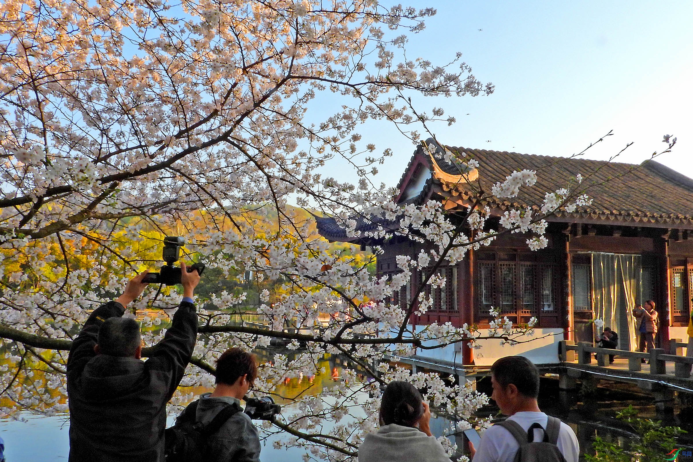 DSCN5253.JPG