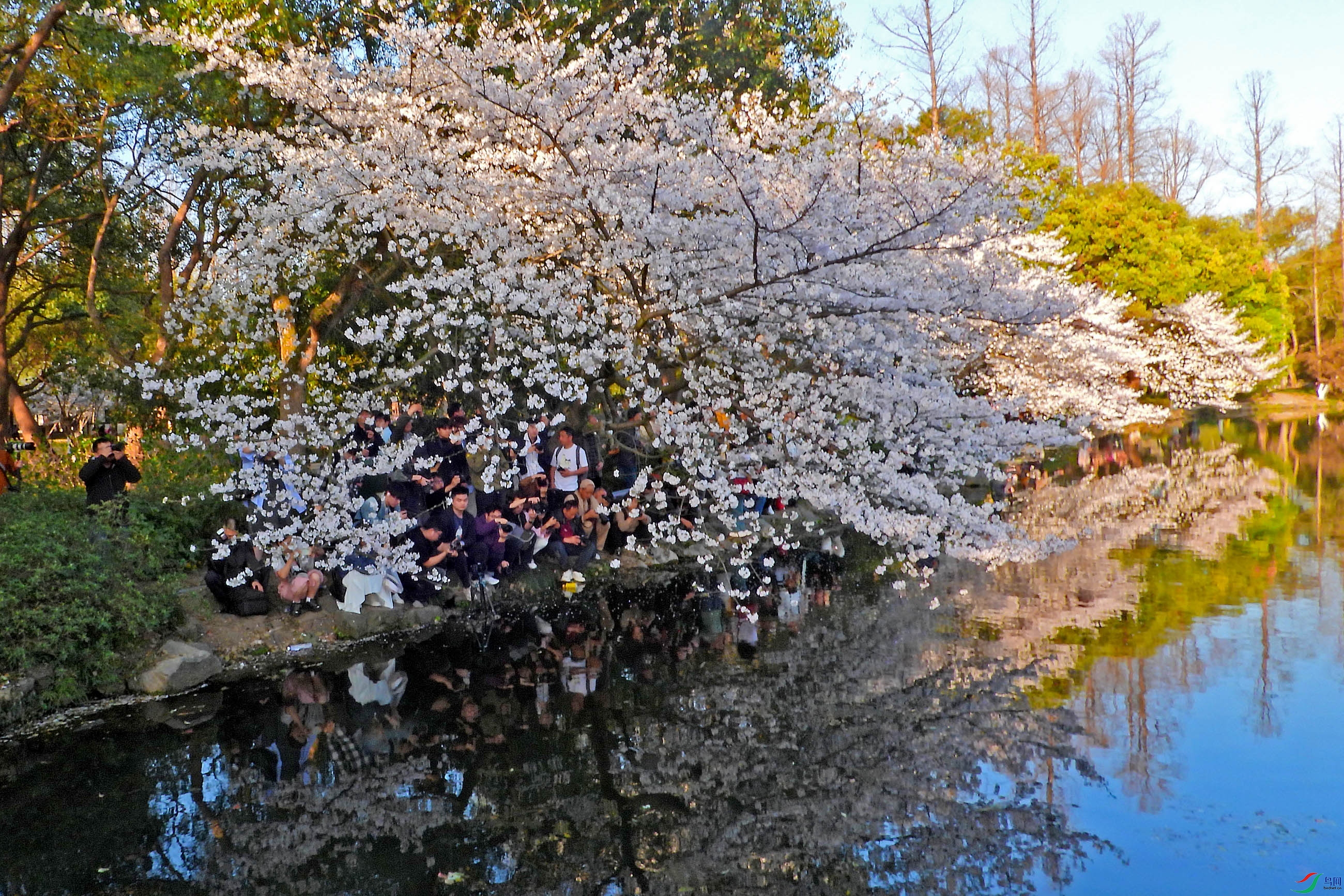 DSCN5248.JPG
