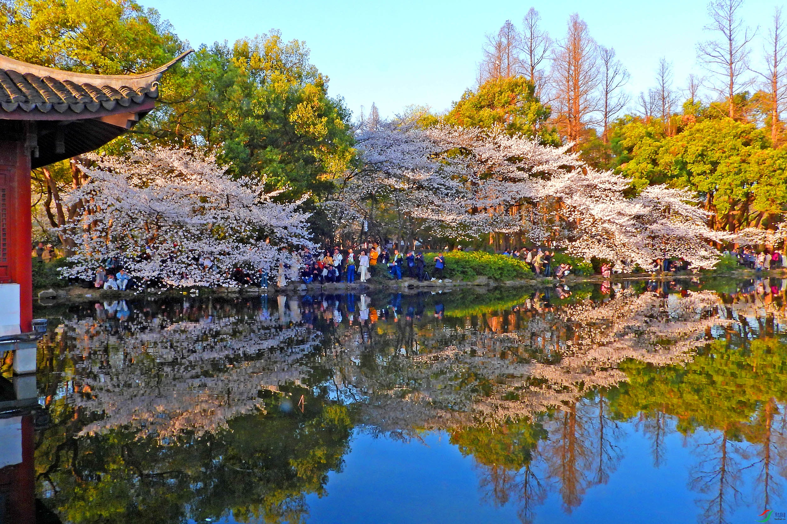 DSCN5245.JPG