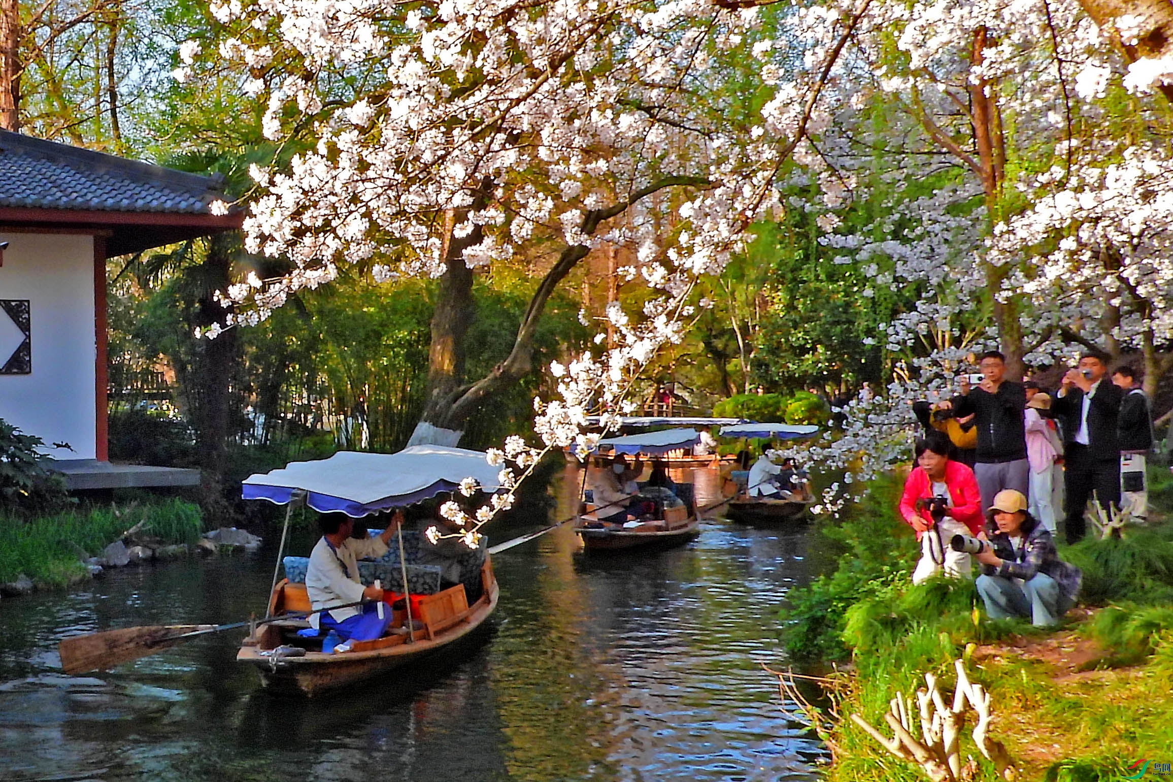 DSCN5288.JPG